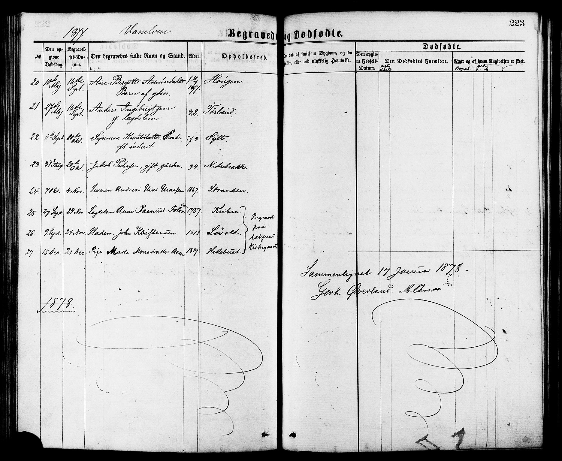 Ministerialprotokoller, klokkerbøker og fødselsregistre - Møre og Romsdal, AV/SAT-A-1454/501/L0007: Ministerialbok nr. 501A07, 1868-1884, s. 223