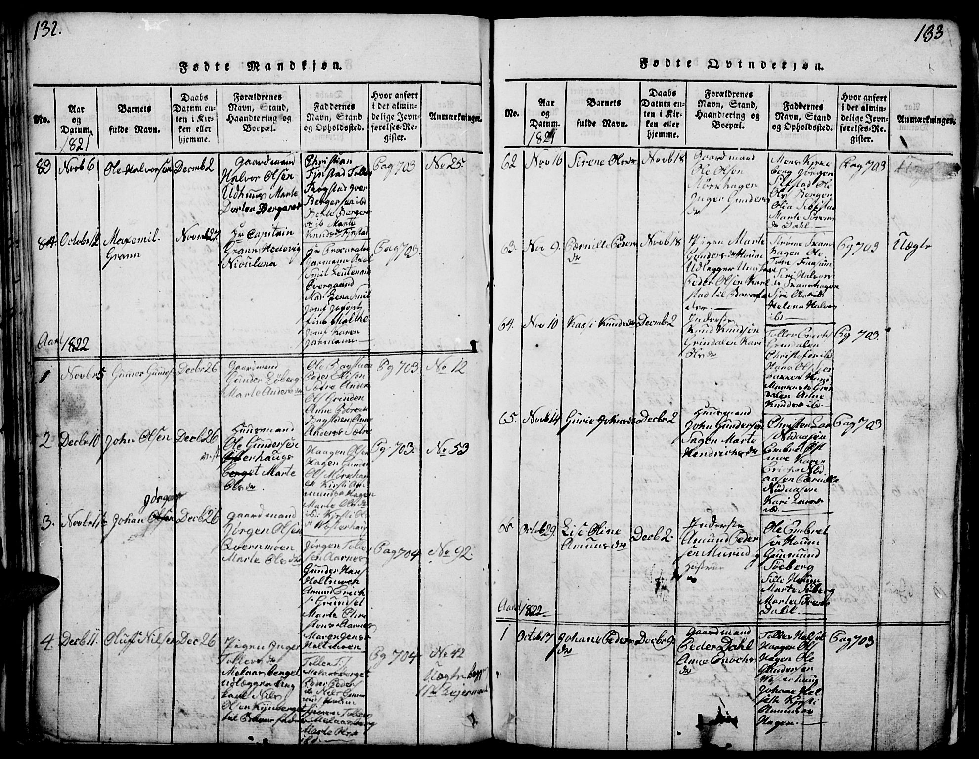 Elverum prestekontor, AV/SAH-PREST-044/H/Ha/Haa/L0007: Ministerialbok nr. 7, 1815-1830, s. 132-133