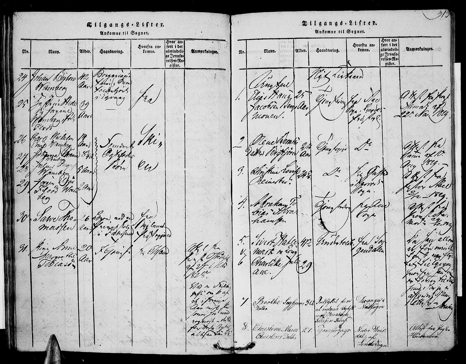 Farsund sokneprestkontor, SAK/1111-0009/F/Fa/L0002: Ministerialbok nr. A 2, 1815-1836, s. 313