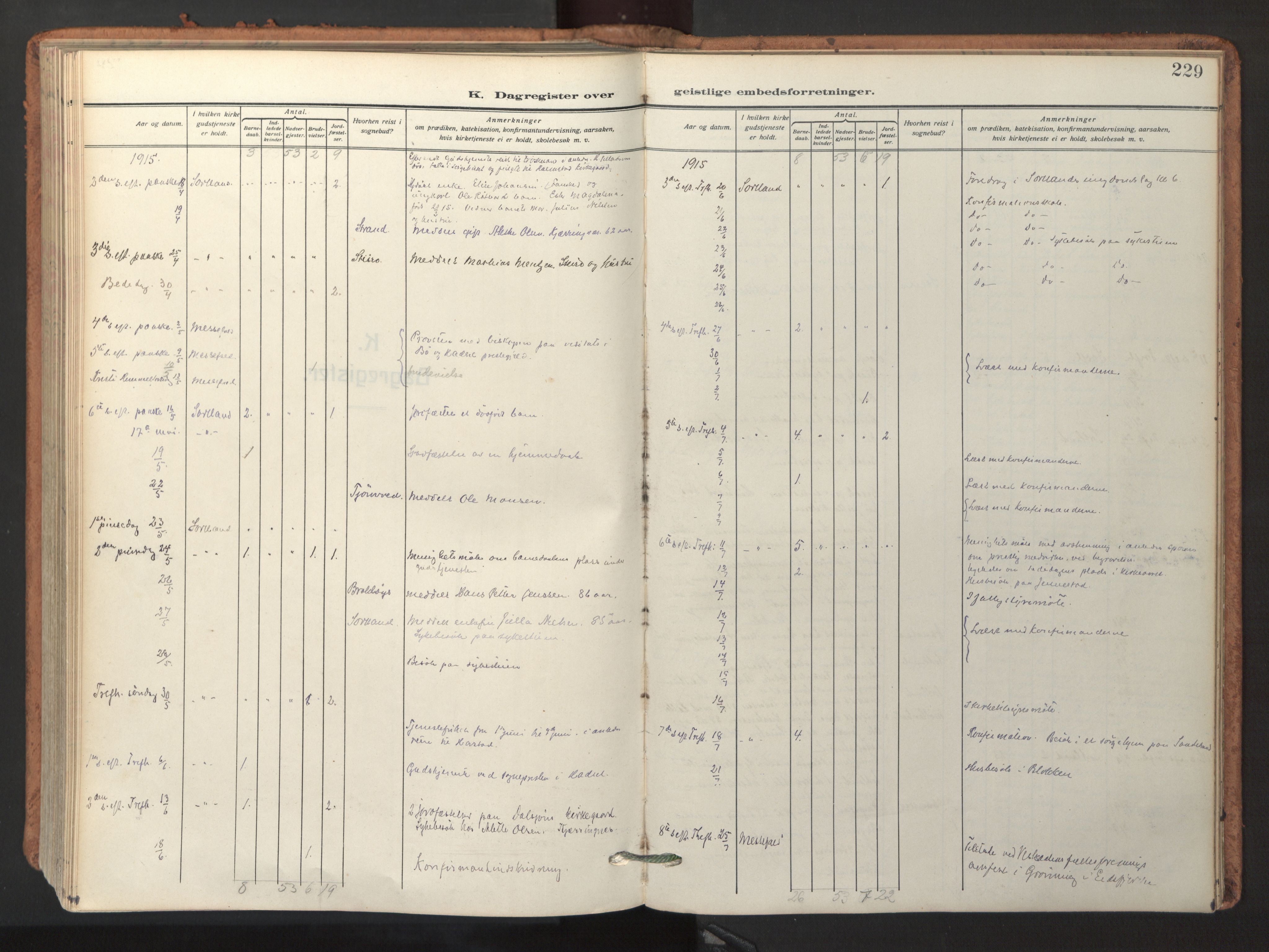 Ministerialprotokoller, klokkerbøker og fødselsregistre - Nordland, AV/SAT-A-1459/895/L1374: Ministerialbok nr. 895A09, 1915-1925, s. 229