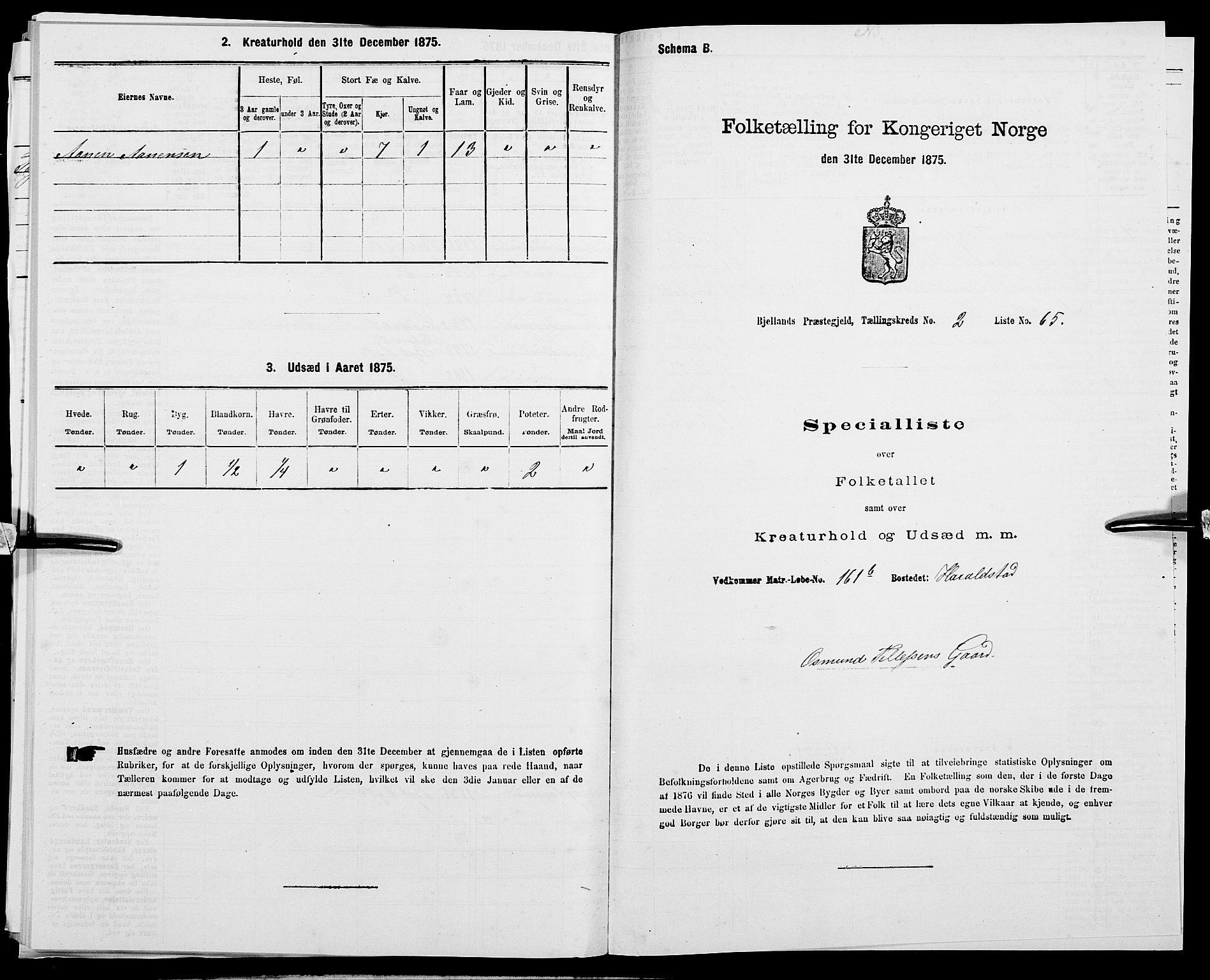 SAK, Folketelling 1875 for 1024P Bjelland prestegjeld, 1875, s. 262