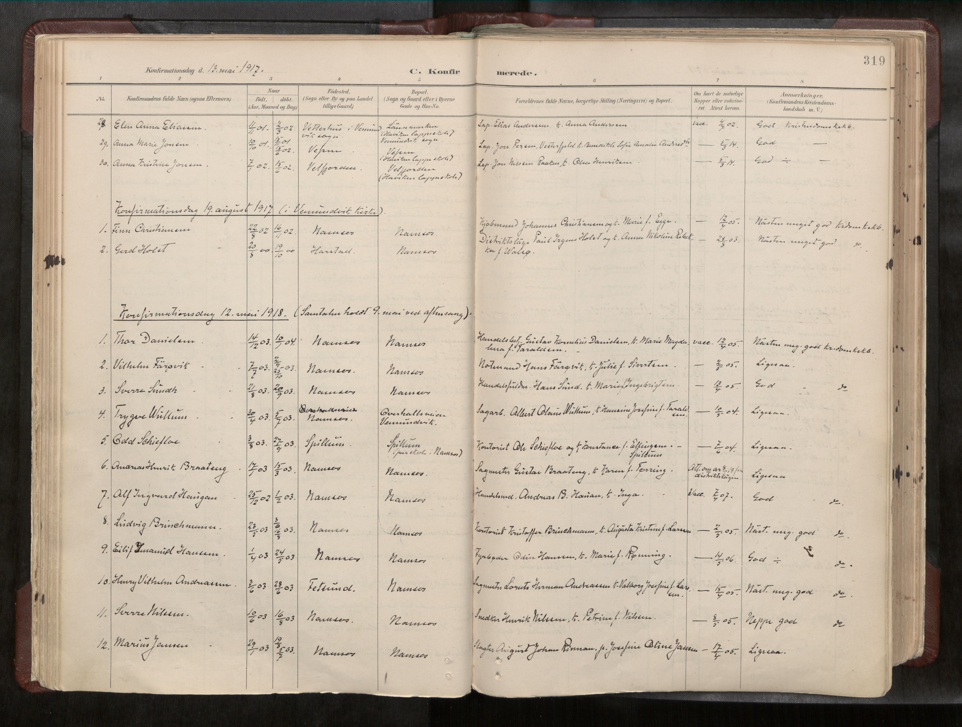 Ministerialprotokoller, klokkerbøker og fødselsregistre - Nord-Trøndelag, AV/SAT-A-1458/768/L0579a: Ministerialbok nr. 768A14, 1887-1931, s. 319