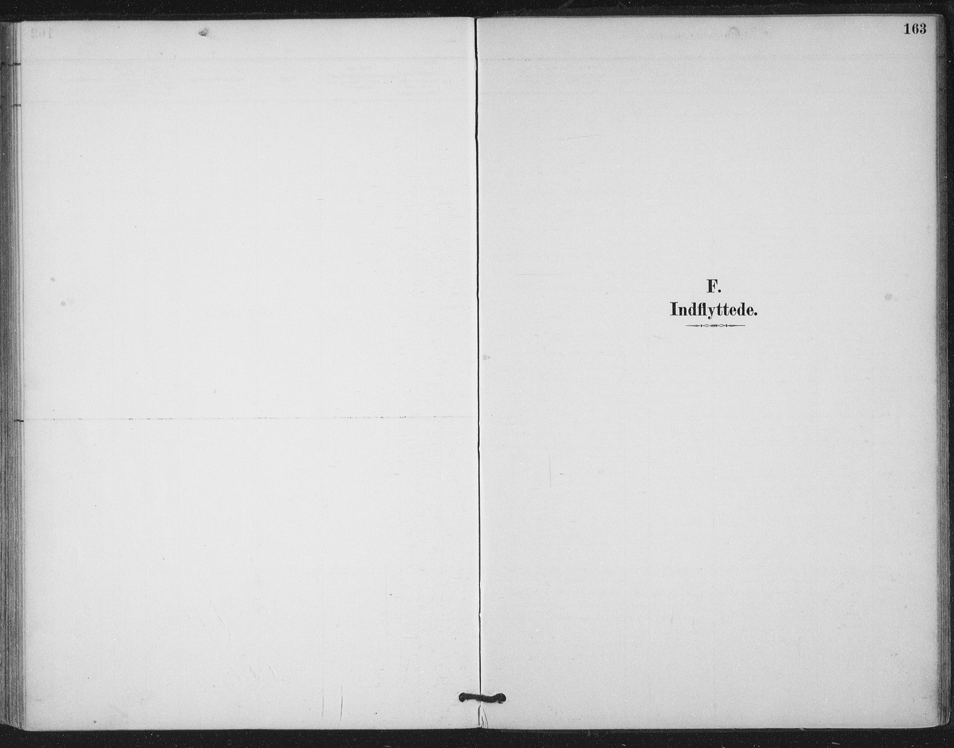 Ministerialprotokoller, klokkerbøker og fødselsregistre - Nord-Trøndelag, AV/SAT-A-1458/780/L0644: Ministerialbok nr. 780A08, 1886-1903, s. 163