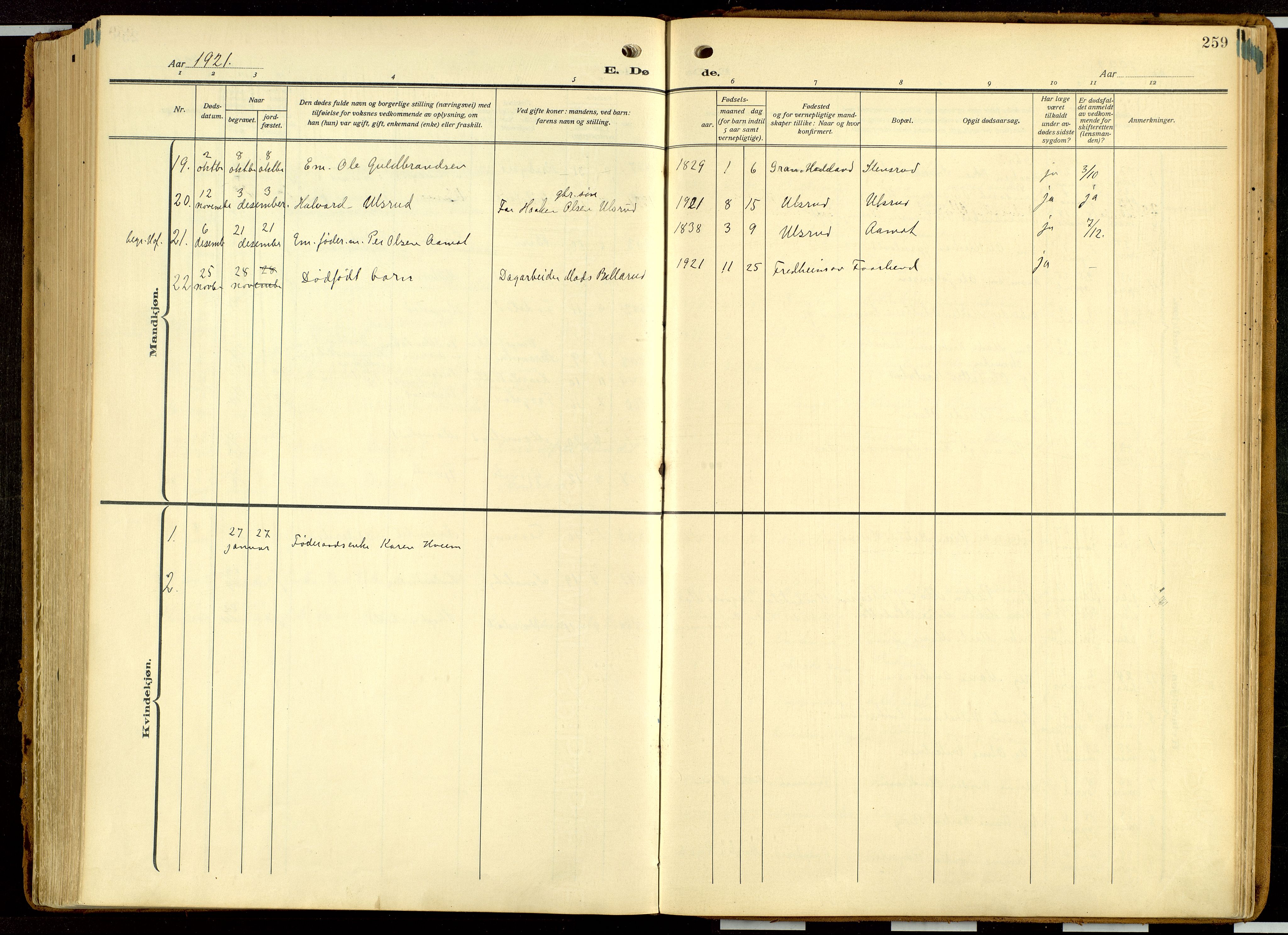 Balke prestekontor, AV/SAH-PREST-106/H/Ha/Haa/L0001: Ministerialbok nr. 1, 1914-1932, s. 259