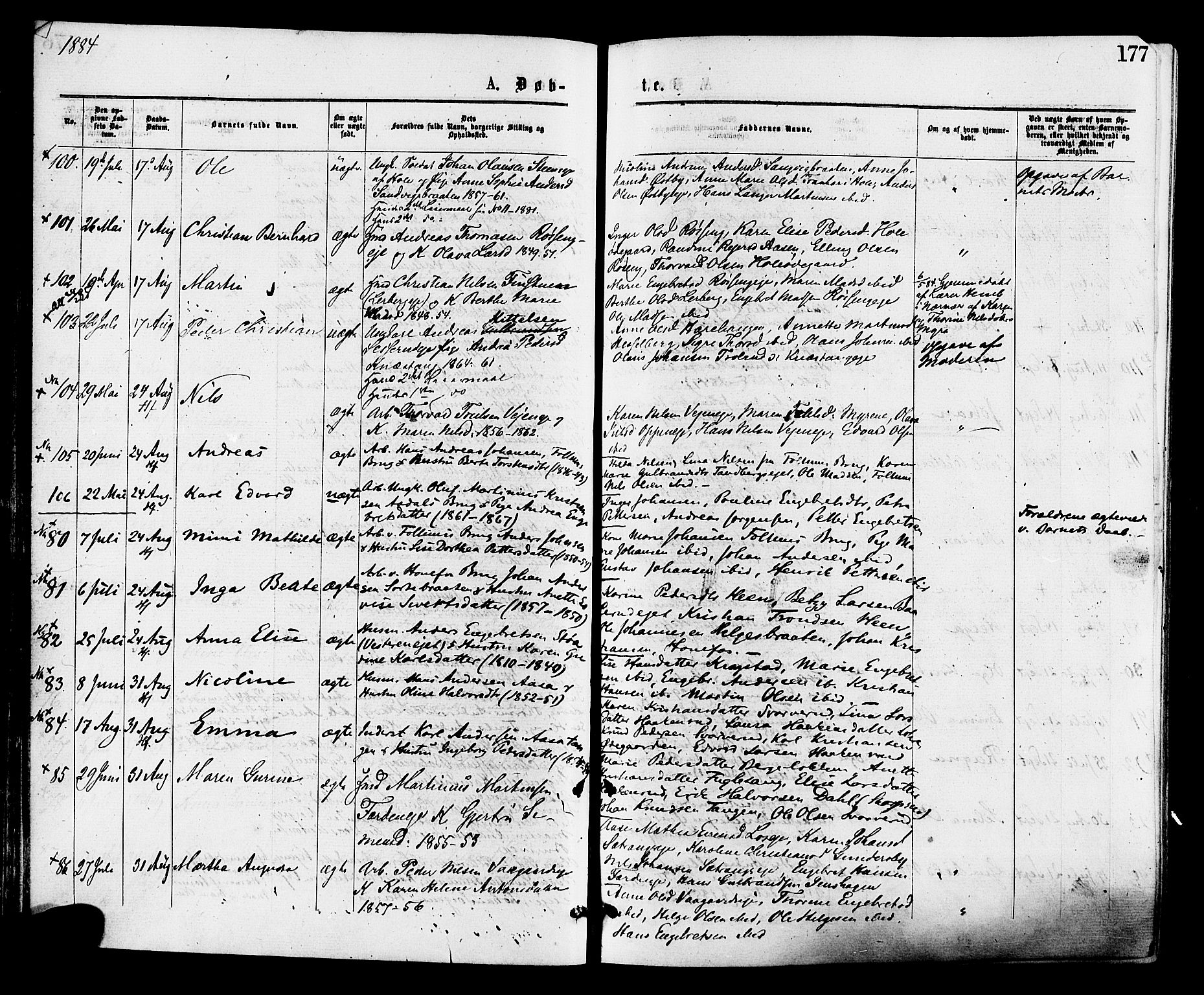 Norderhov kirkebøker, AV/SAKO-A-237/F/Fa/L0015: Ministerialbok nr. 15, 1875-1884, s. 177