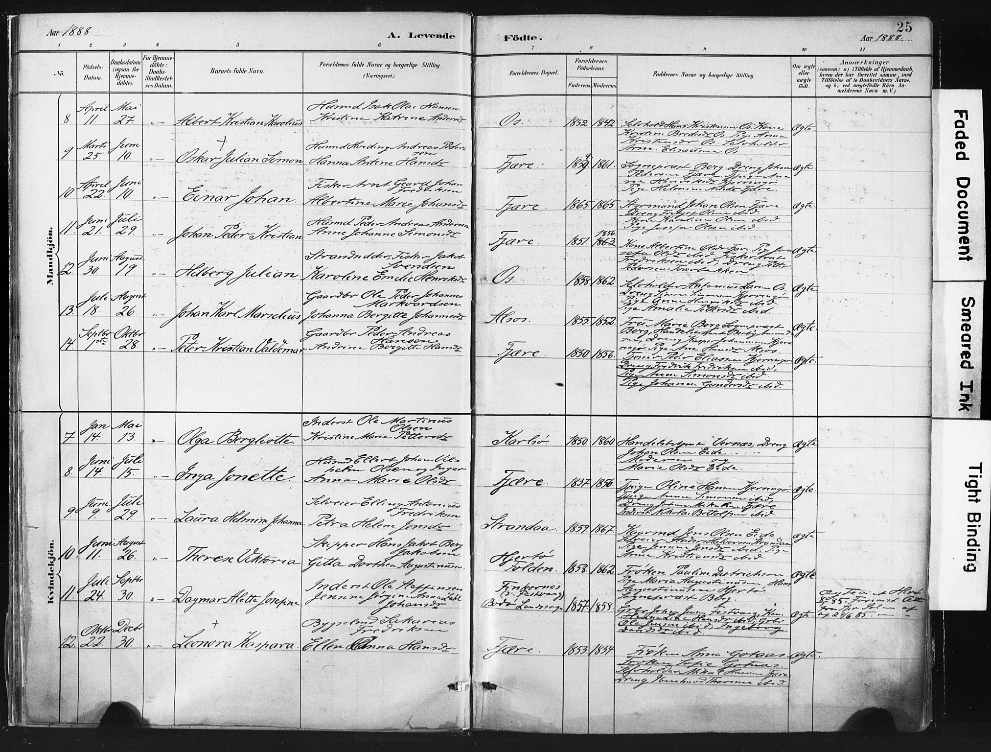 Ministerialprotokoller, klokkerbøker og fødselsregistre - Nordland, AV/SAT-A-1459/803/L0071: Ministerialbok nr. 803A01, 1881-1897, s. 25