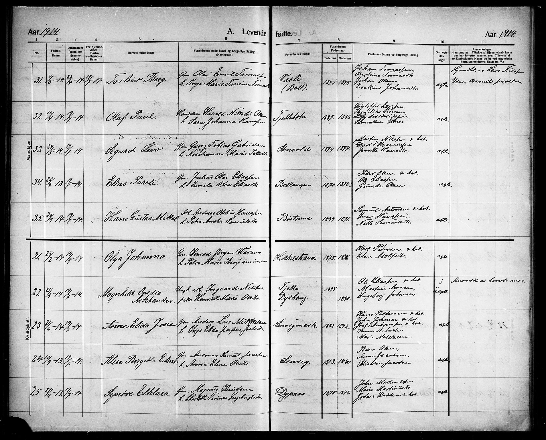 Ministerialprotokoller, klokkerbøker og fødselsregistre - Nordland, AV/SAT-A-1459/863/L0916: Klokkerbok nr. 863C06, 1907-1921