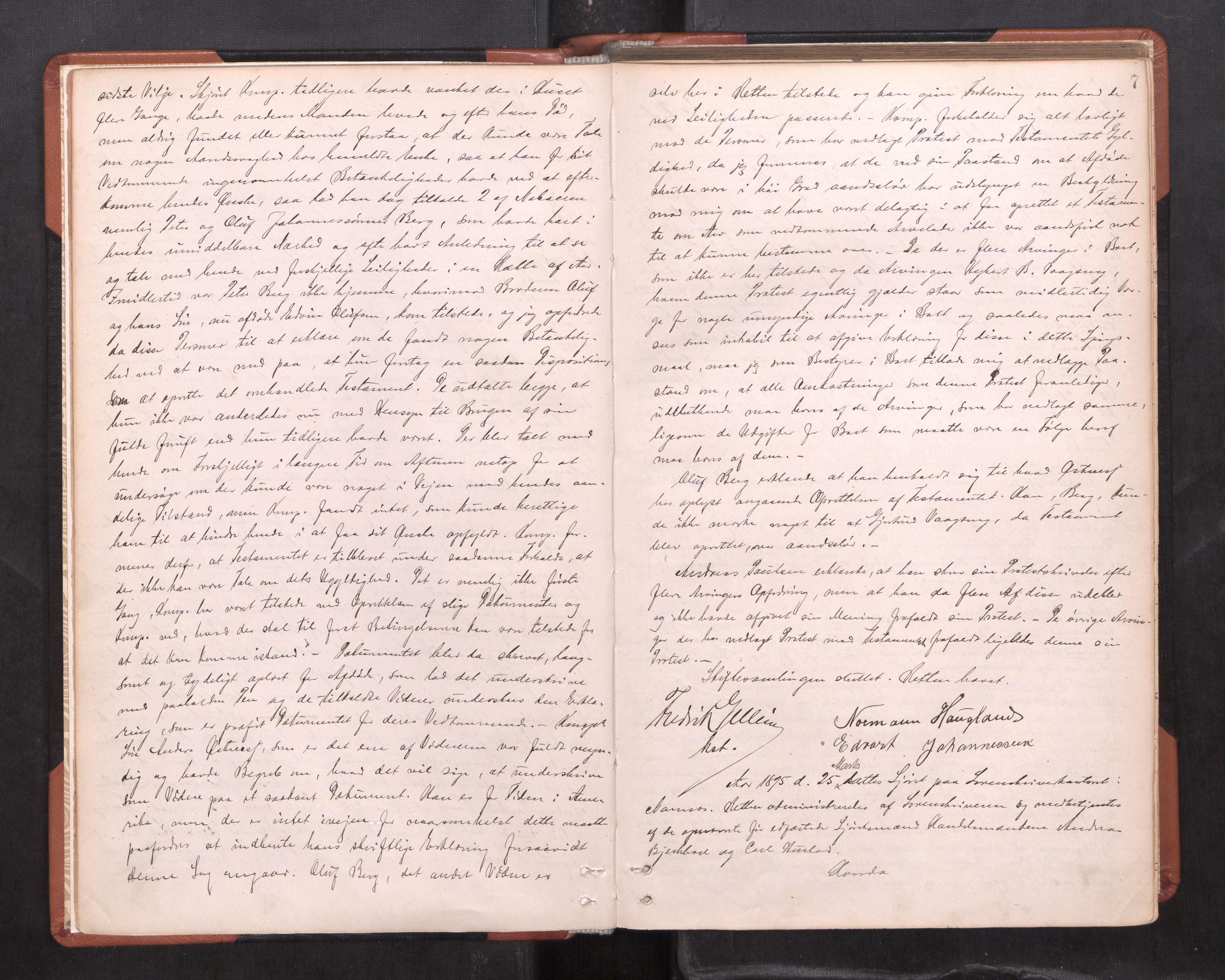 Namdal sorenskriveri, AV/SAT-A-4133/1/1/1B/L0021: Ekstrarettsprotokoll Nr 19, 1894-1903, s. 6b-7a