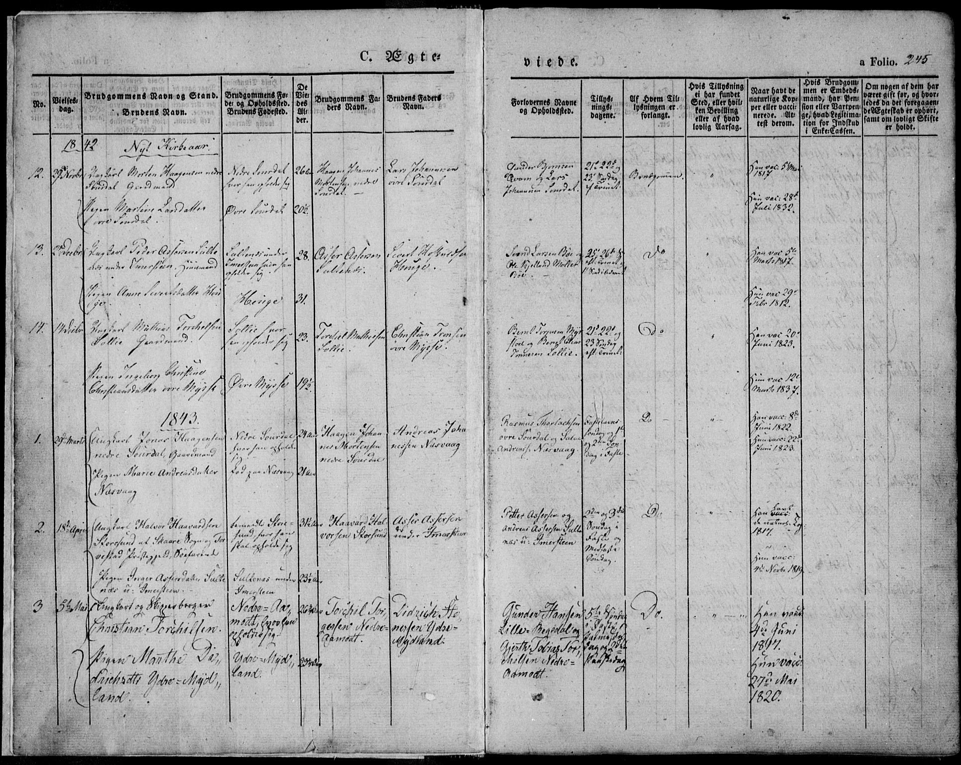 Sokndal sokneprestkontor, AV/SAST-A-101808: Ministerialbok nr. A 8.2, 1842-1857, s. 245