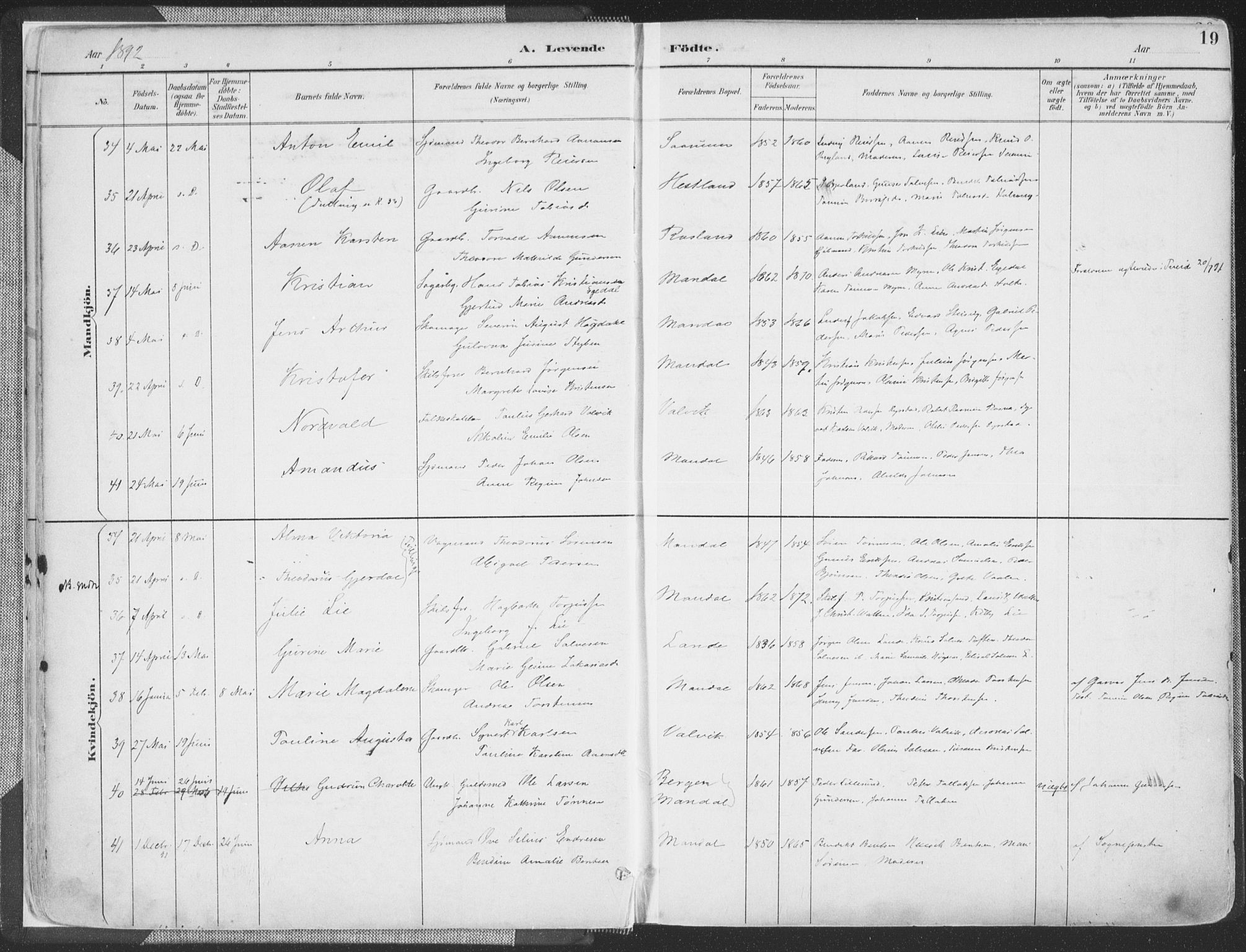 Mandal sokneprestkontor, AV/SAK-1111-0030/F/Fa/Faa/L0018: Ministerialbok nr. A 18, 1890-1905, s. 19