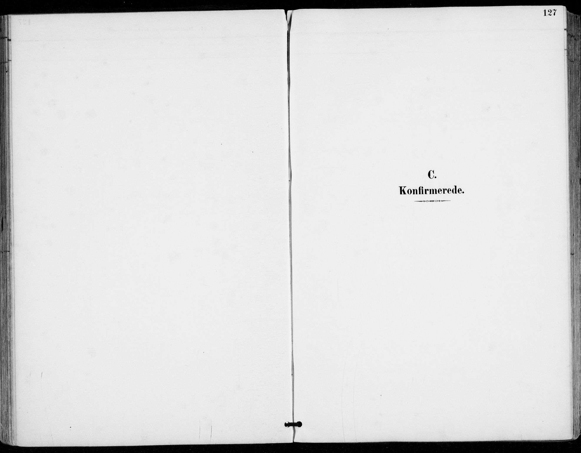 Sylling kirkebøker, AV/SAKO-A-247/F/Fa/L0001: Ministerialbok nr. 1, 1883-1910, s. 127