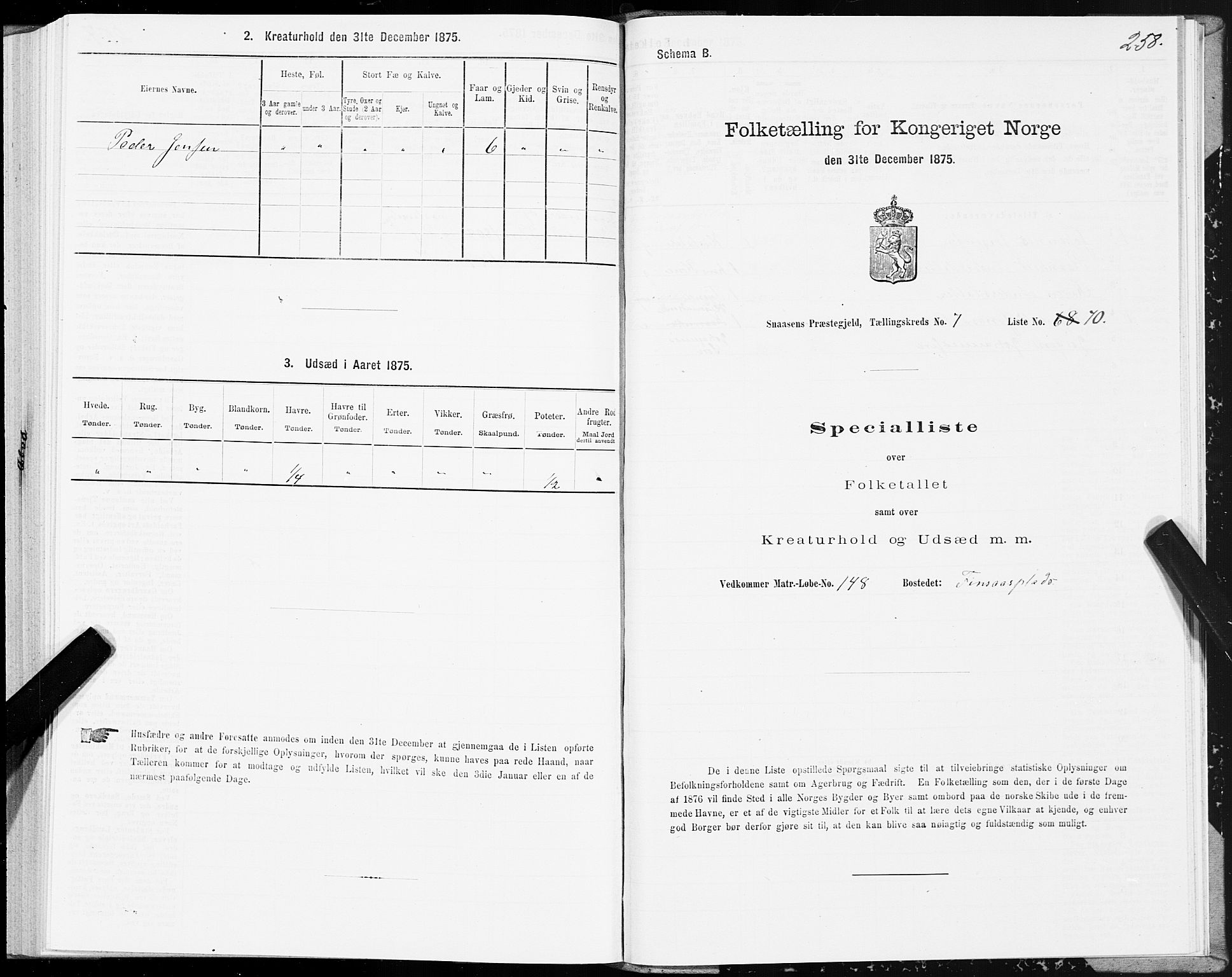 SAT, Folketelling 1875 for 1736P Snåsa prestegjeld, 1875, s. 3258