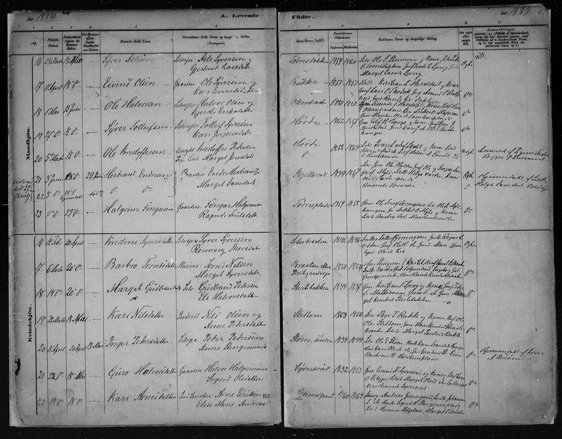 Nes kirkebøker, AV/SAKO-A-236/F/Fa/L0011: Ministerialbok nr. 11, 1881-1912, s. 21