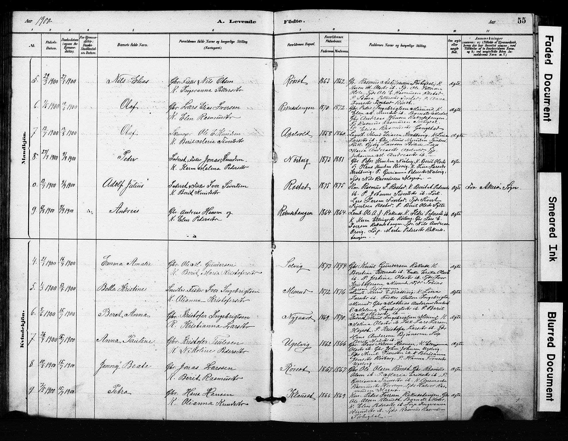 Ministerialprotokoller, klokkerbøker og fødselsregistre - Møre og Romsdal, AV/SAT-A-1454/563/L0737: Klokkerbok nr. 563C01, 1878-1916, s. 55