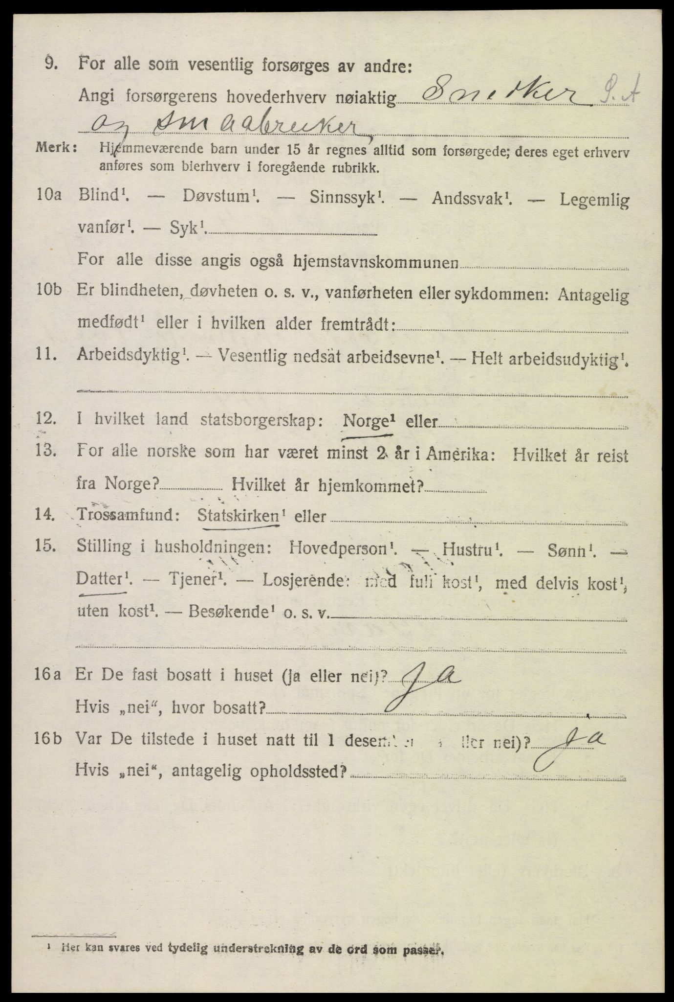 SAK, Folketelling 1920 for 0936 Hornnes herred, 1920, s. 2478