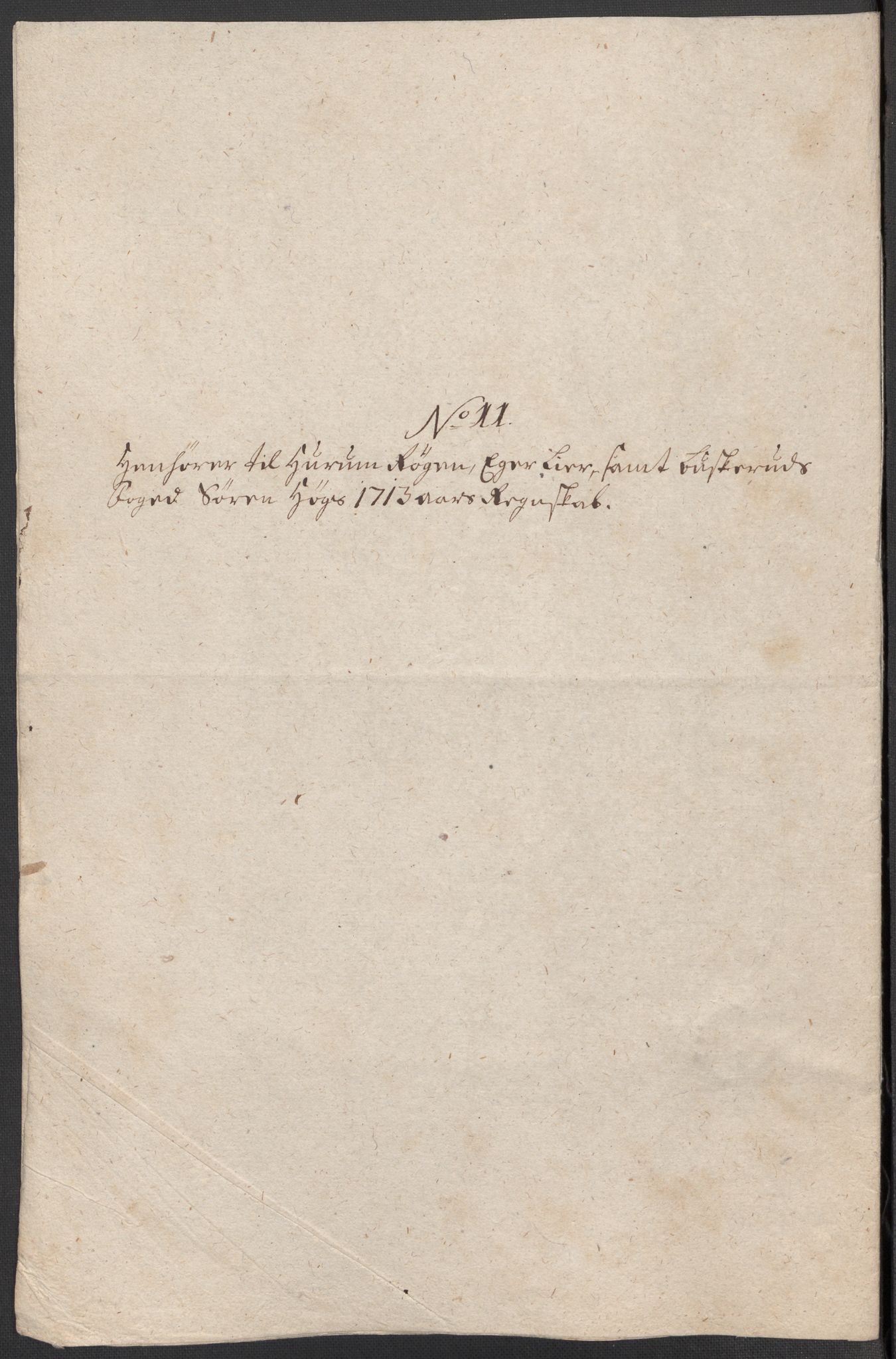 Rentekammeret inntil 1814, Reviderte regnskaper, Fogderegnskap, RA/EA-4092/R31/L1708: Fogderegnskap Hurum, Røyken, Eiker, Lier og Buskerud, 1713, s. 289