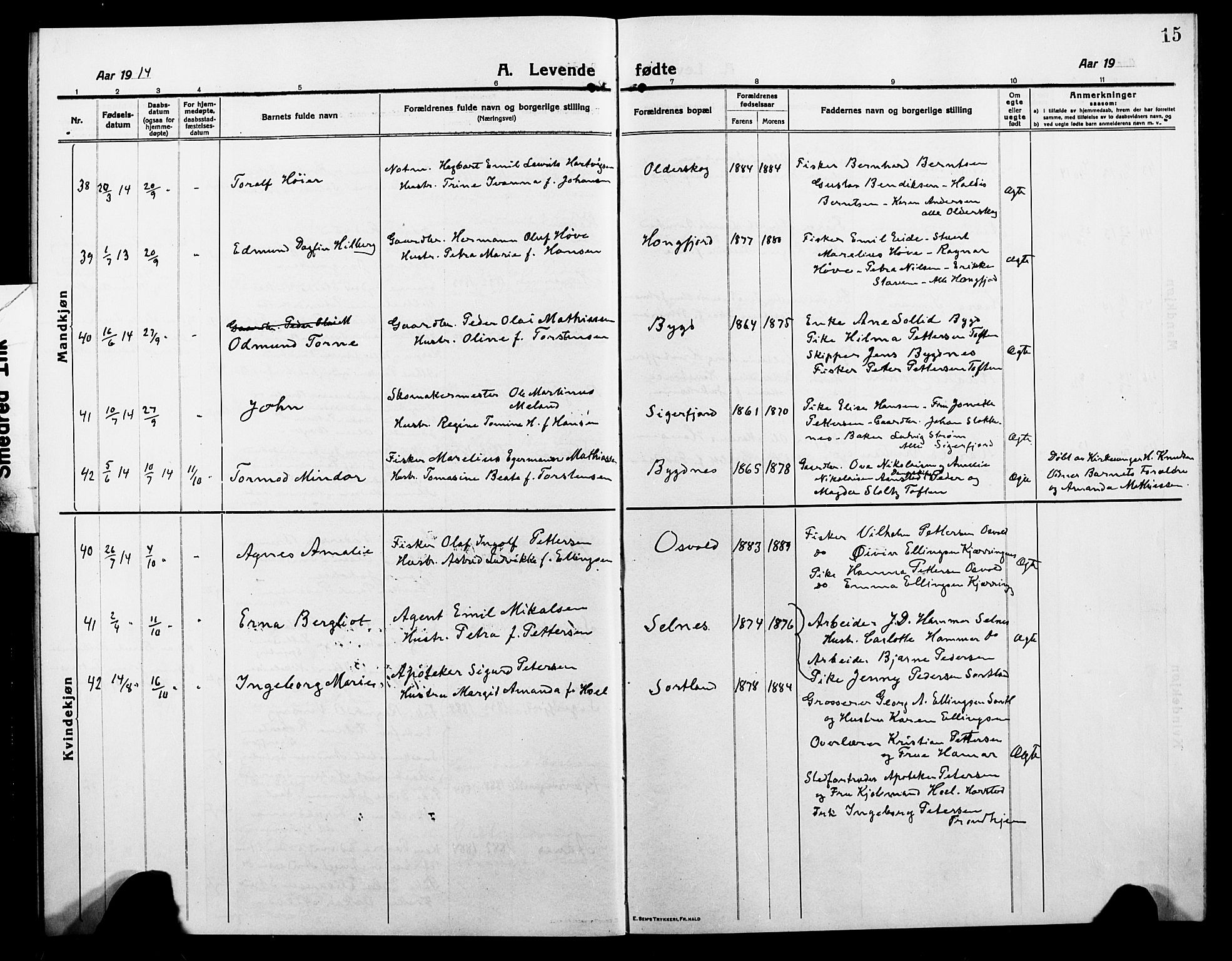 Ministerialprotokoller, klokkerbøker og fødselsregistre - Nordland, AV/SAT-A-1459/895/L1383: Klokkerbok nr. 895C05, 1913-1922, s. 15