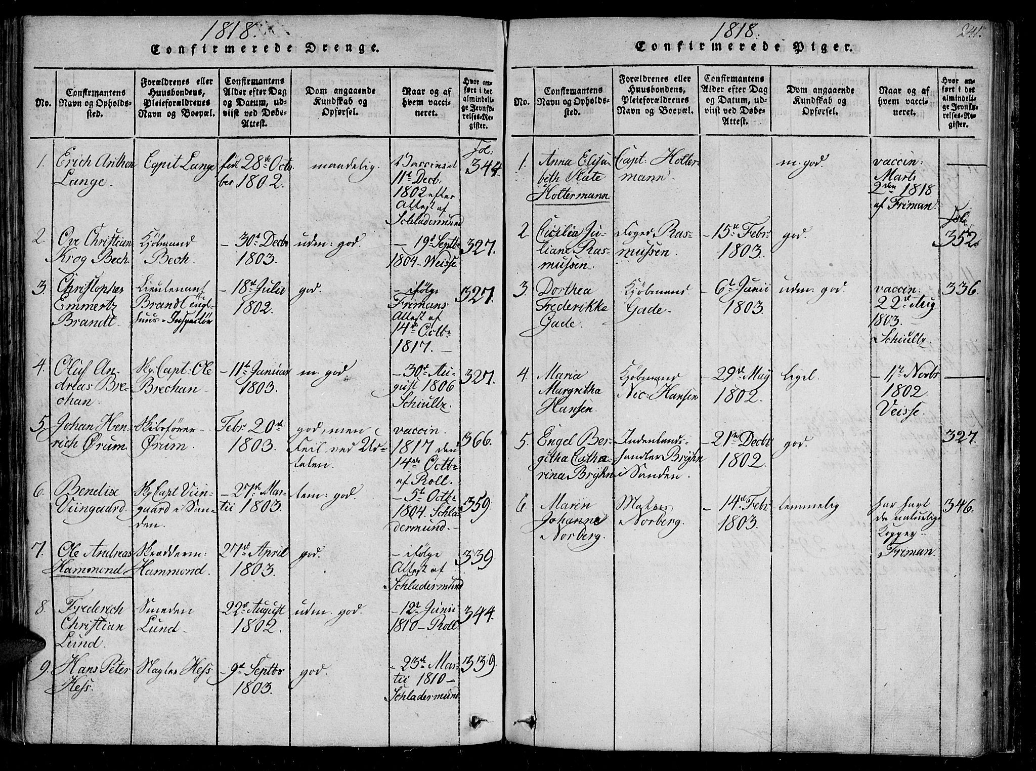 Ministerialprotokoller, klokkerbøker og fødselsregistre - Sør-Trøndelag, AV/SAT-A-1456/602/L0107: Ministerialbok nr. 602A05, 1815-1821, s. 241