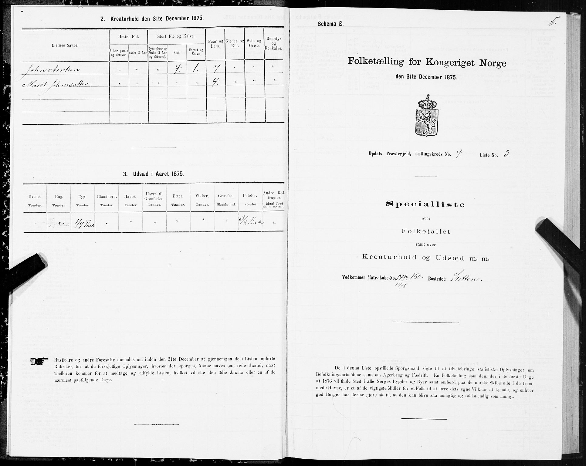 SAT, Folketelling 1875 for 1634P Oppdal prestegjeld, 1875, s. 3005