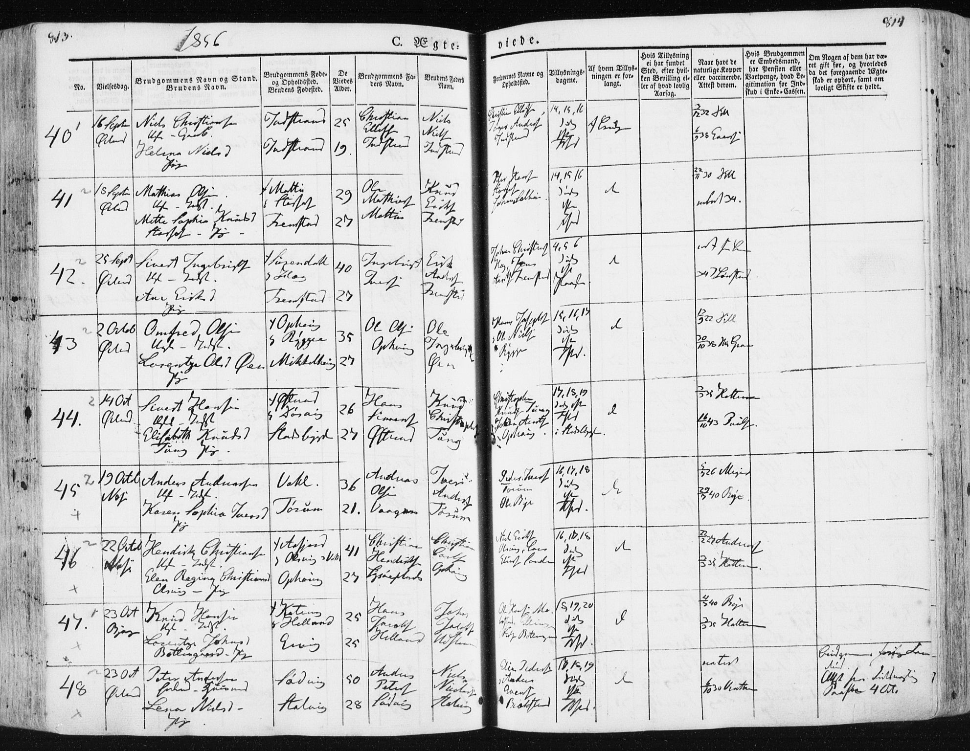 Ministerialprotokoller, klokkerbøker og fødselsregistre - Sør-Trøndelag, SAT/A-1456/659/L0736: Ministerialbok nr. 659A06, 1842-1856, s. 813-814