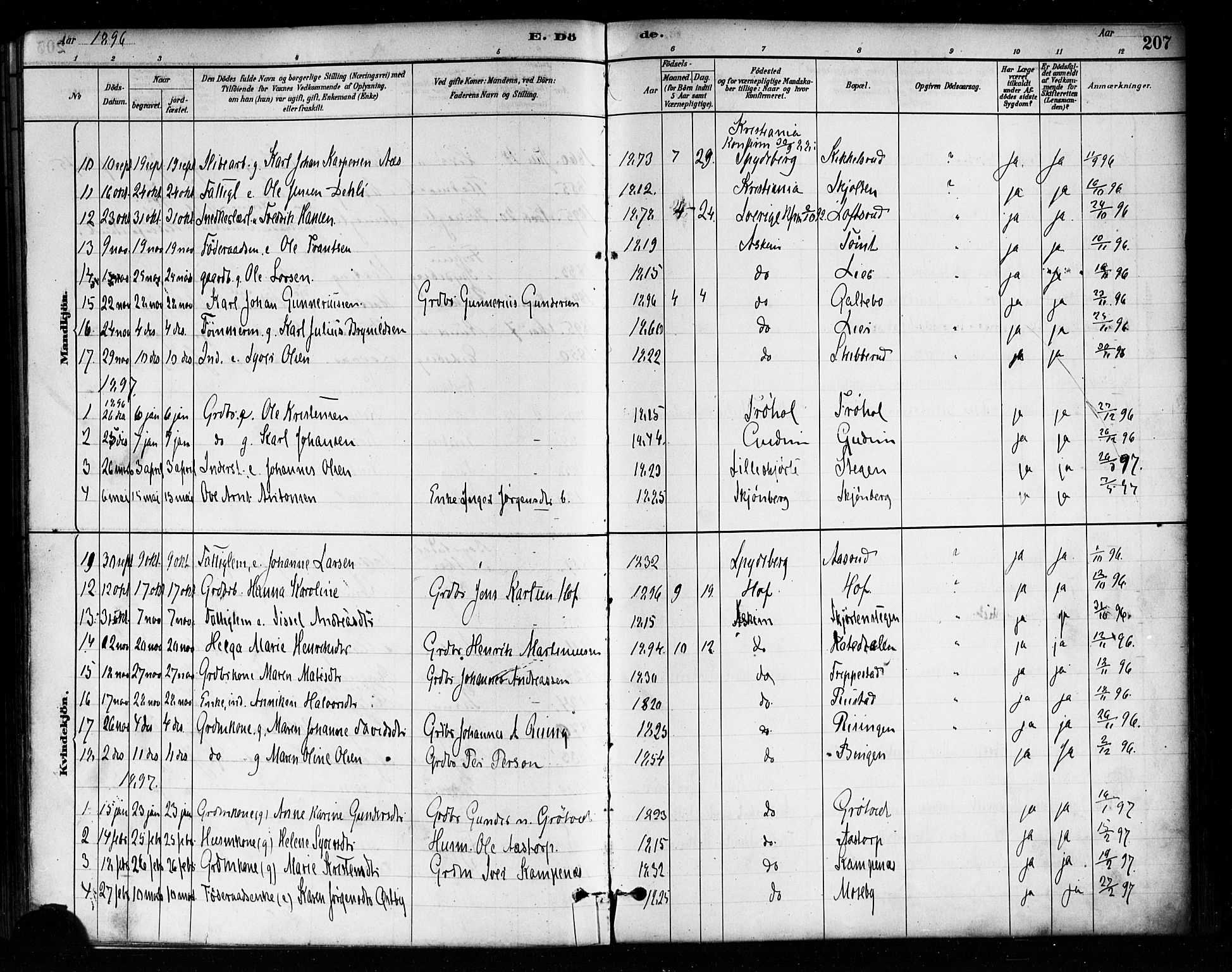 Askim prestekontor Kirkebøker, AV/SAO-A-10900/F/Fa/L0007: Ministerialbok nr. 7, 1882-1897, s. 207