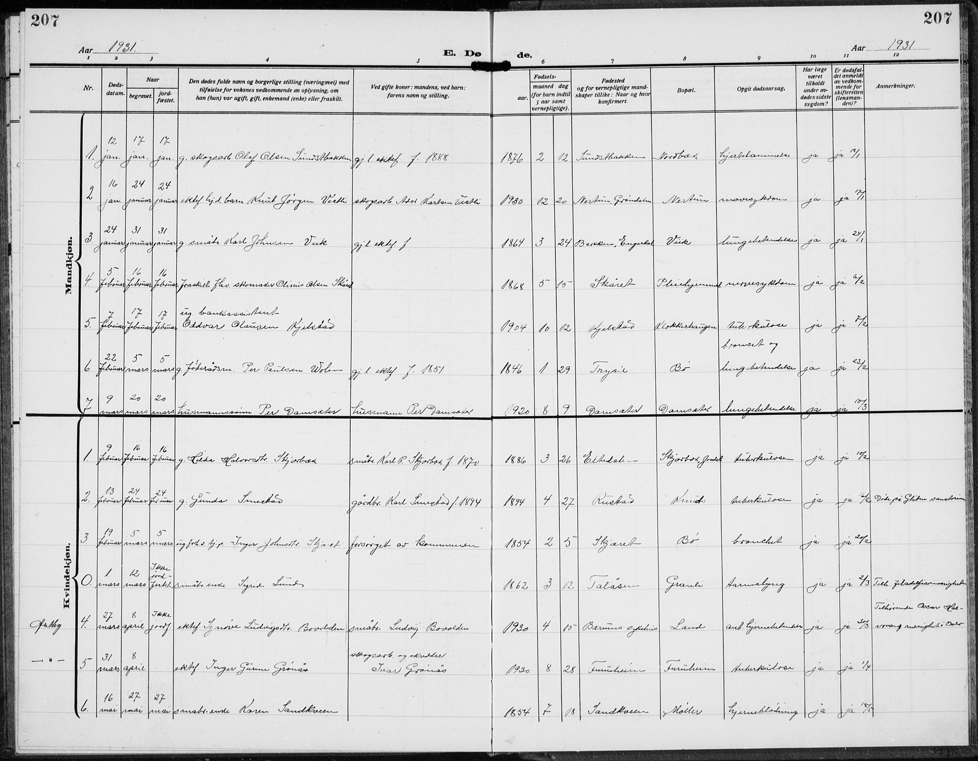 Trysil prestekontor, SAH/PREST-046/H/Ha/Hab/L0010: Klokkerbok nr. 10, 1917-1937, s. 207