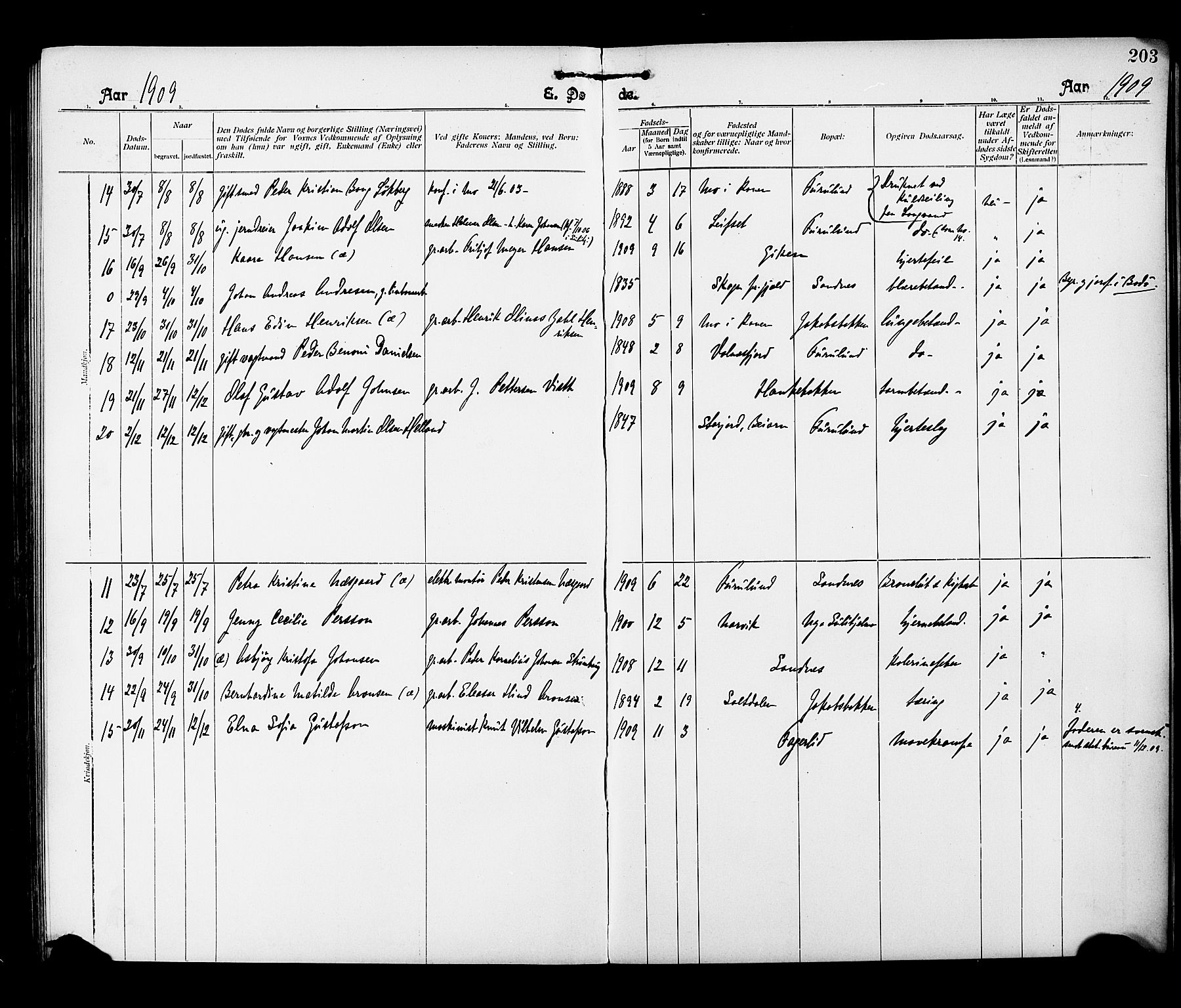 Ministerialprotokoller, klokkerbøker og fødselsregistre - Nordland, AV/SAT-A-1459/850/L0709: Ministerialbok nr. 850A01, 1899-1909, s. 203