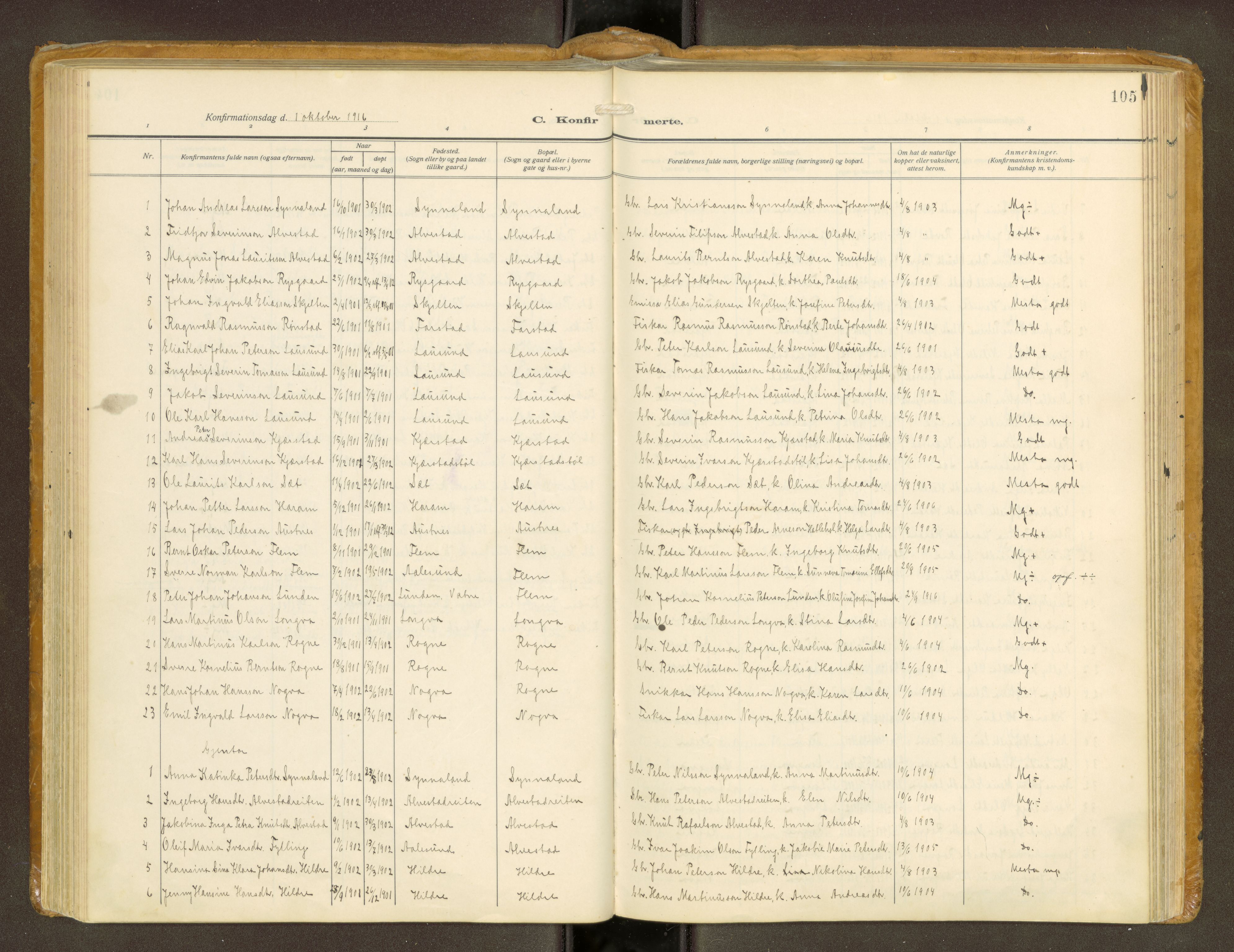 Ministerialprotokoller, klokkerbøker og fødselsregistre - Møre og Romsdal, AV/SAT-A-1454/536/L0518: Ministerialbok nr. 536A--, 1914-1931, s. 105
