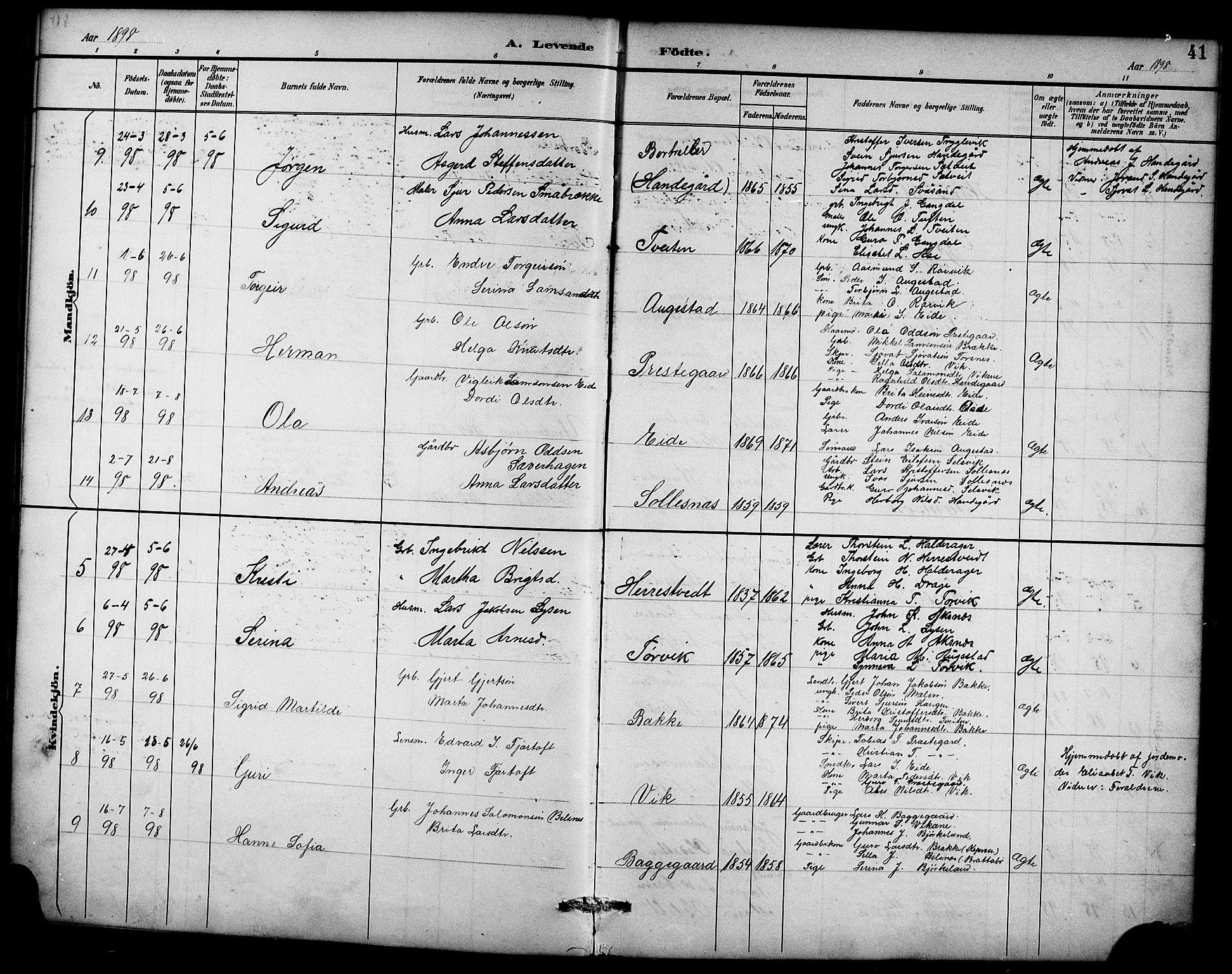 Ullensvang sokneprestembete, AV/SAB-A-78701/H/Hab: Klokkerbok nr. D 1, 1891-1908, s. 41