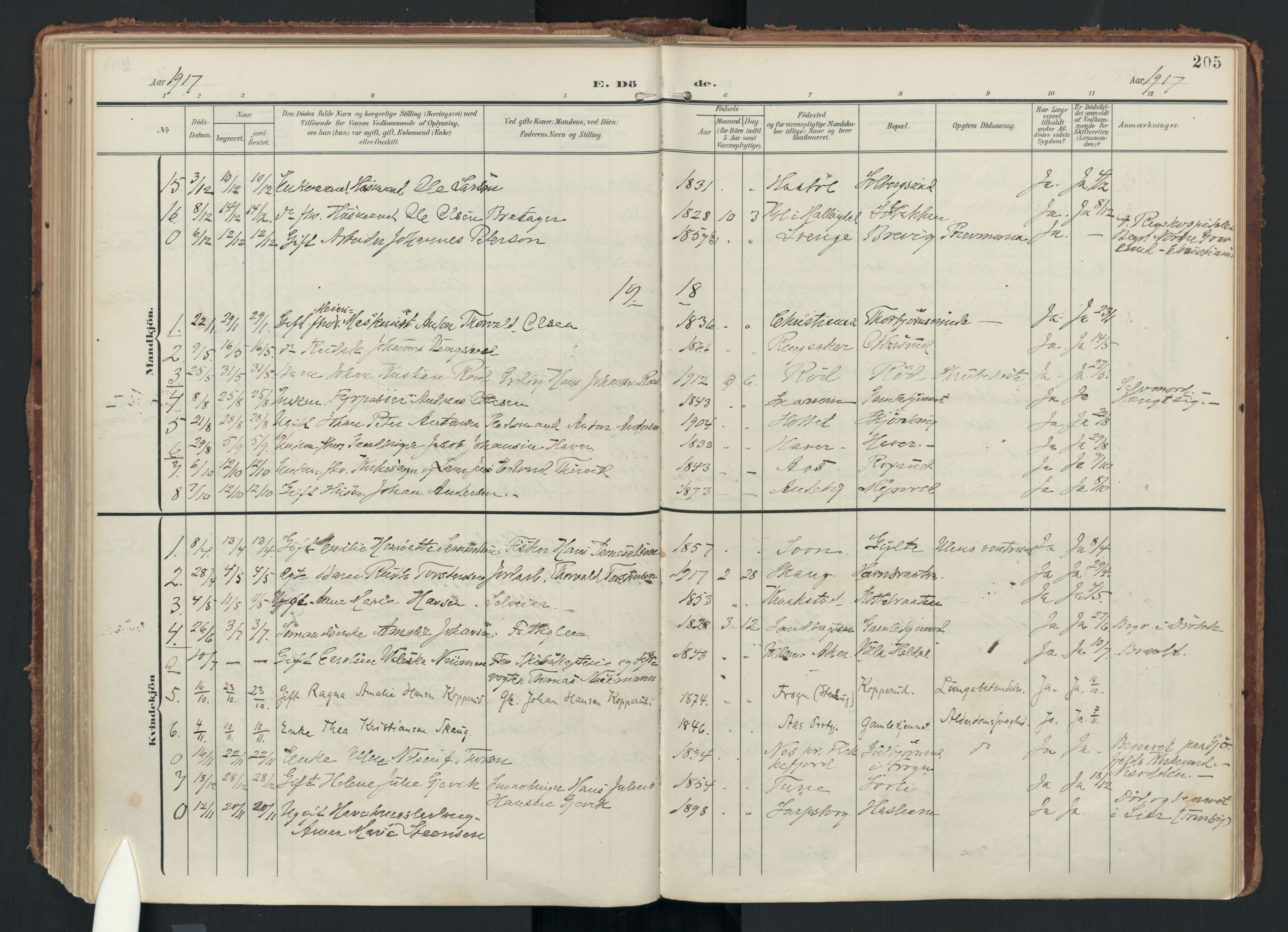 Drøbak prestekontor Kirkebøker, AV/SAO-A-10142a/F/Fc/L0003: Ministerialbok nr. III 3, 1901-1920, s. 205