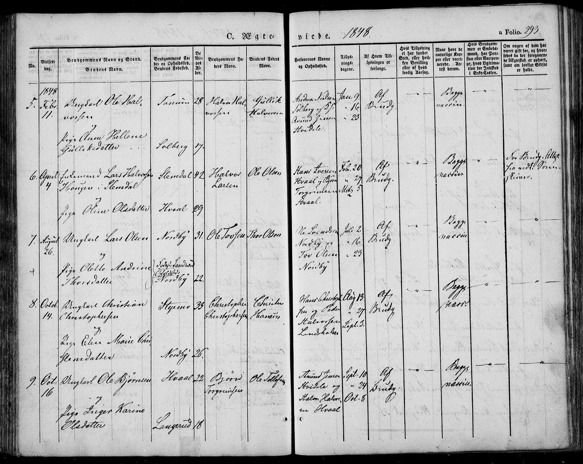 Lardal kirkebøker, AV/SAKO-A-350/F/Fa/L0006: Ministerialbok nr. I 6, 1835-1860, s. 293
