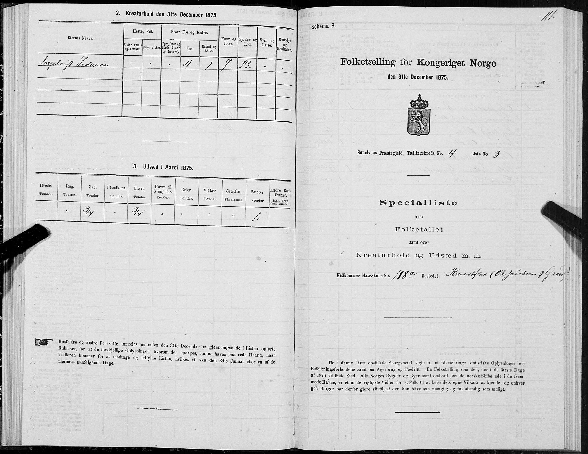 SAT, Folketelling 1875 for 1523P Sunnylven prestegjeld, 1875, s. 2111