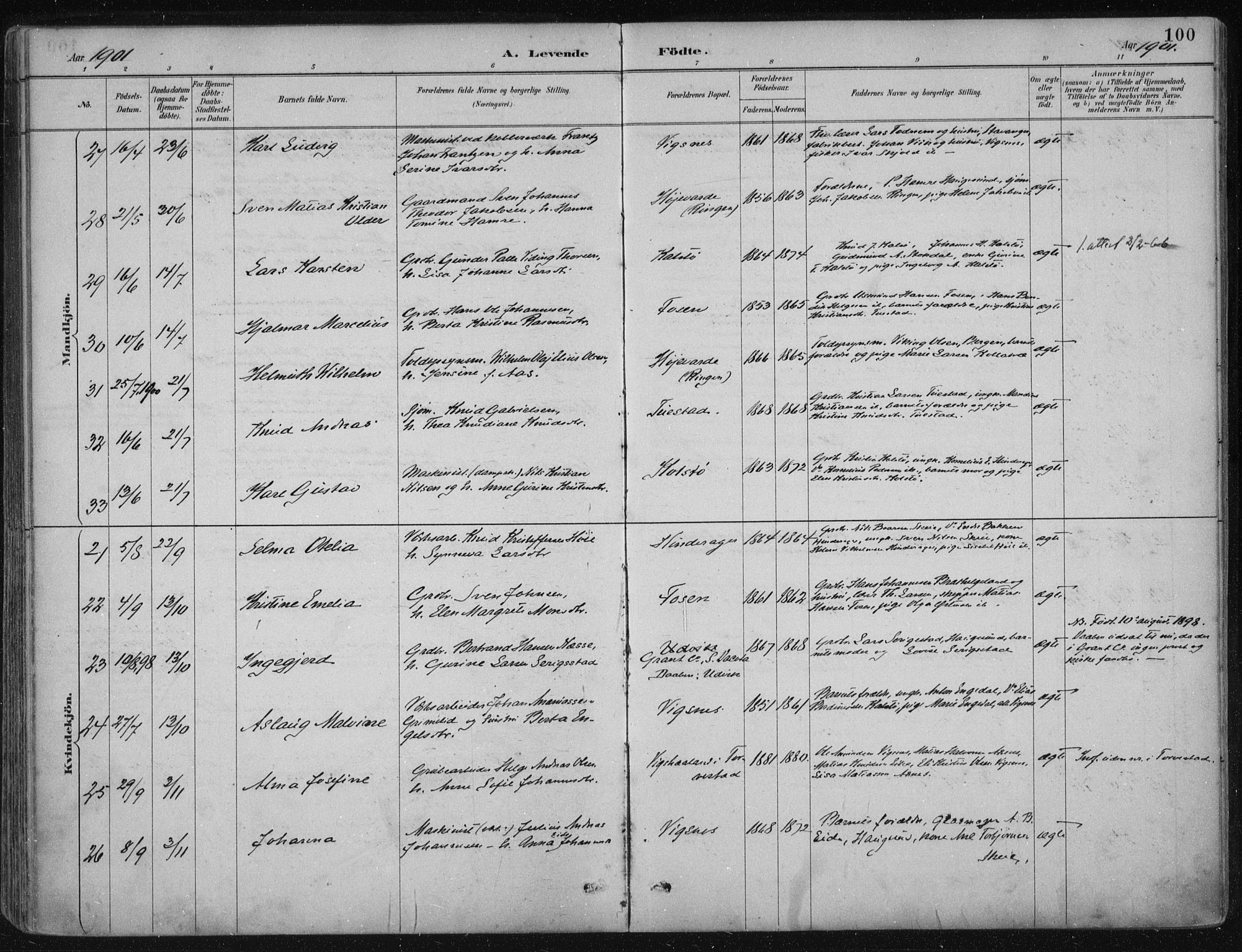 Avaldsnes sokneprestkontor, AV/SAST-A -101851/H/Ha/Haa/L0017: Ministerialbok nr. A 17, 1889-1920, s. 100