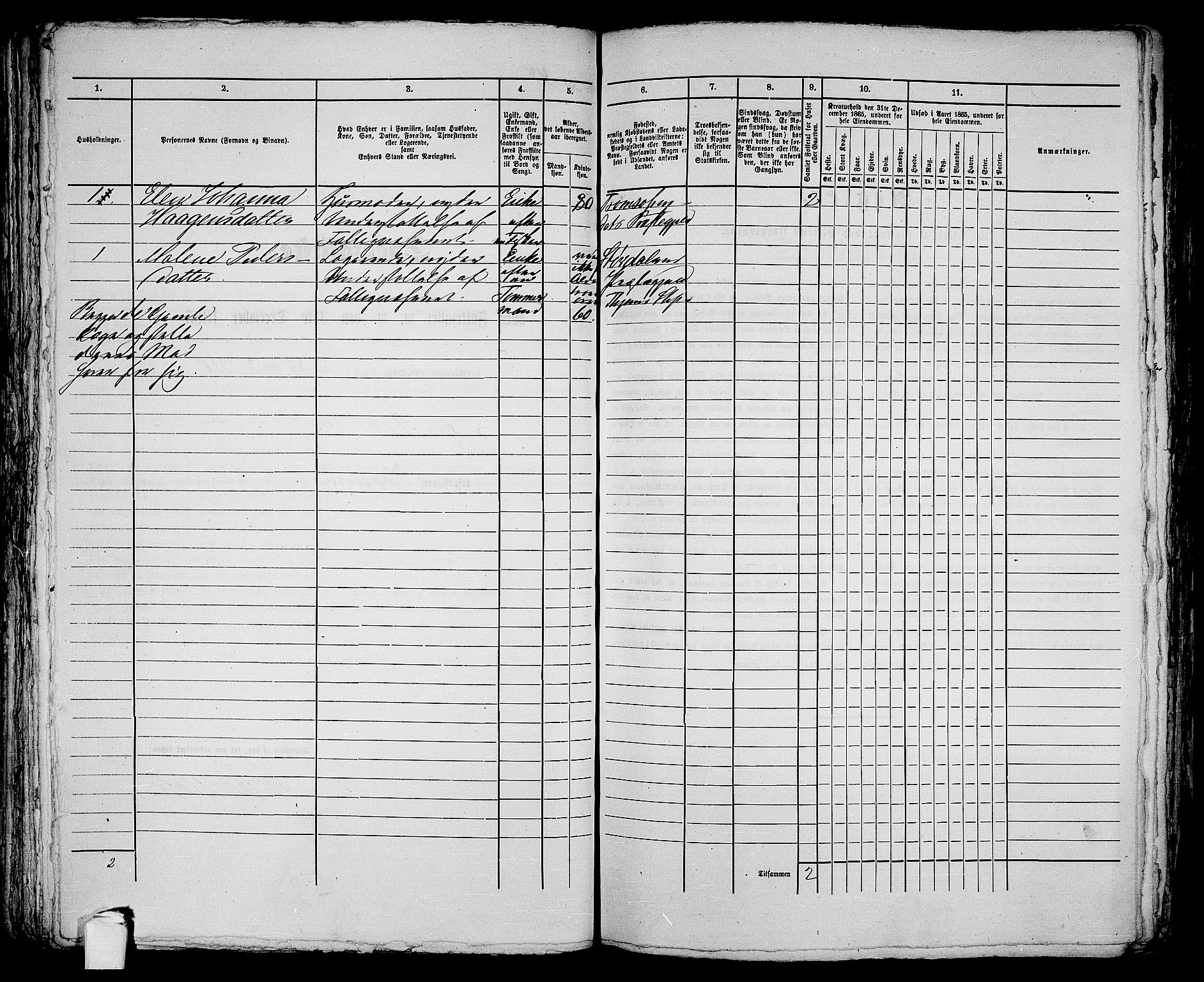 RA, Folketelling 1865 for 1902P Tromsø prestegjeld, 1865, s. 97