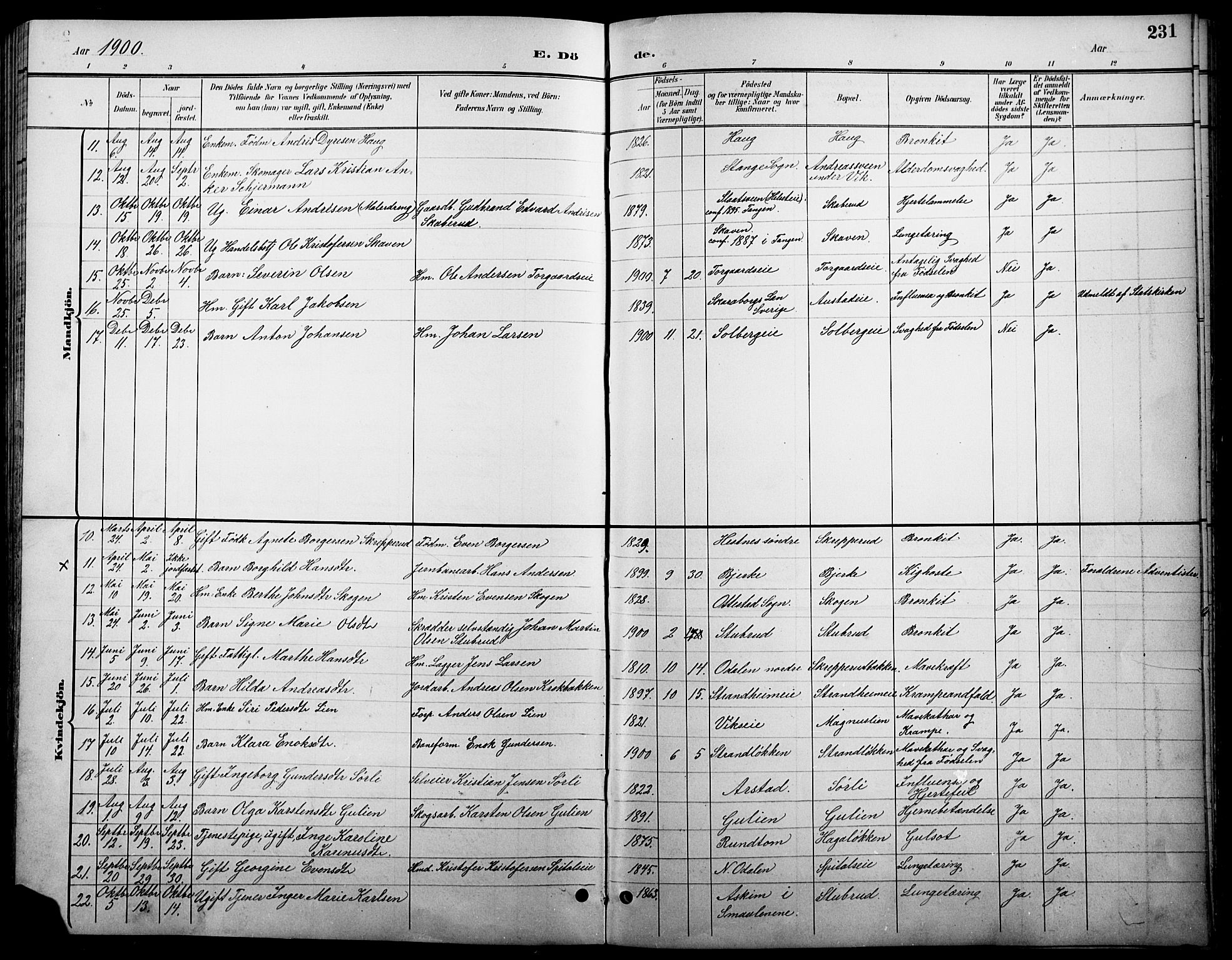 Stange prestekontor, AV/SAH-PREST-002/L/L0011: Klokkerbok nr. 11, 1895-1917, s. 231
