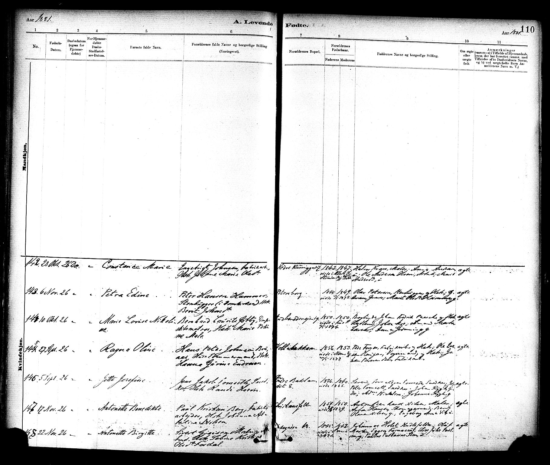 Ministerialprotokoller, klokkerbøker og fødselsregistre - Sør-Trøndelag, SAT/A-1456/604/L0188: Ministerialbok nr. 604A09, 1878-1892, s. 110