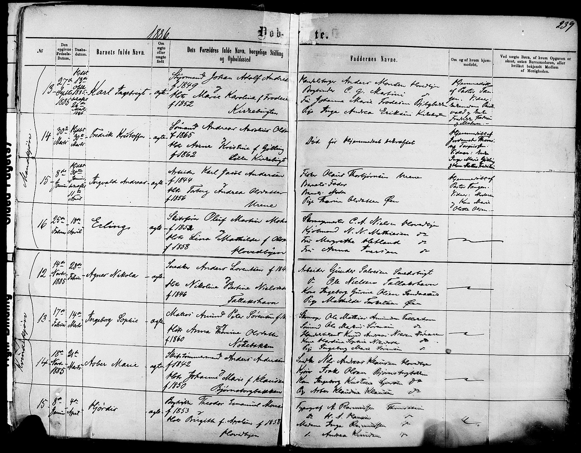 Kragerø kirkebøker, AV/SAKO-A-278/F/Fa/L0011: Ministerialbok nr. 11, 1875-1886, s. 239
