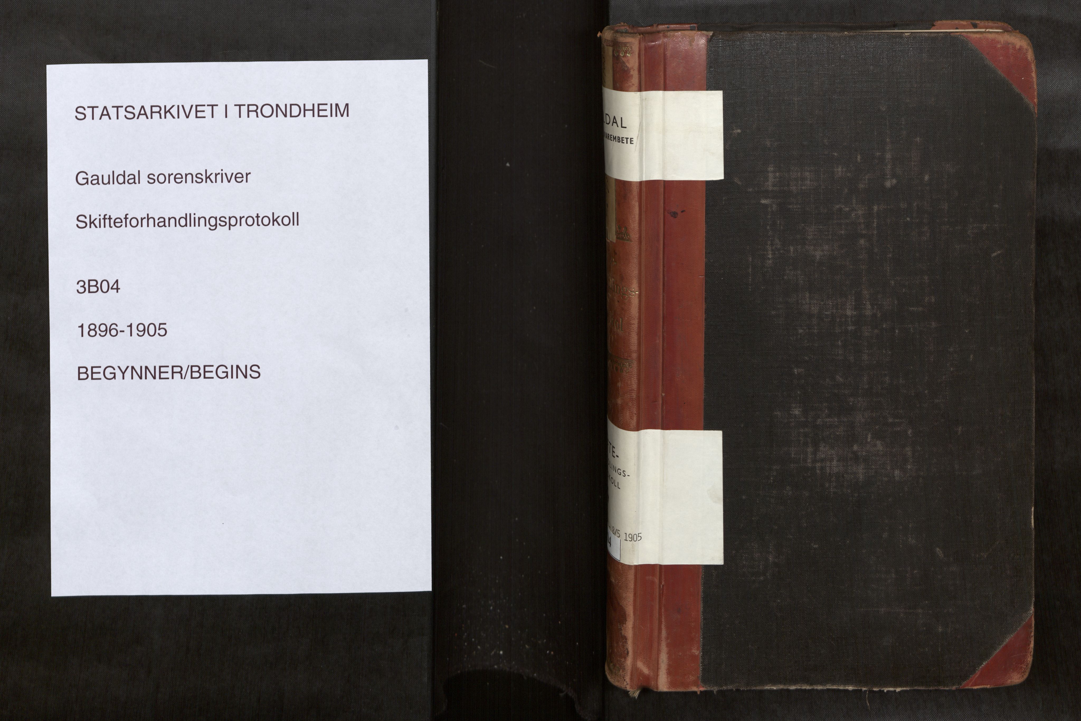 Gauldal sorenskriveri, AV/SAT-A-0014/1/3/3B/L0004: Skiftebehandlingsprotokoll, 1896-1905