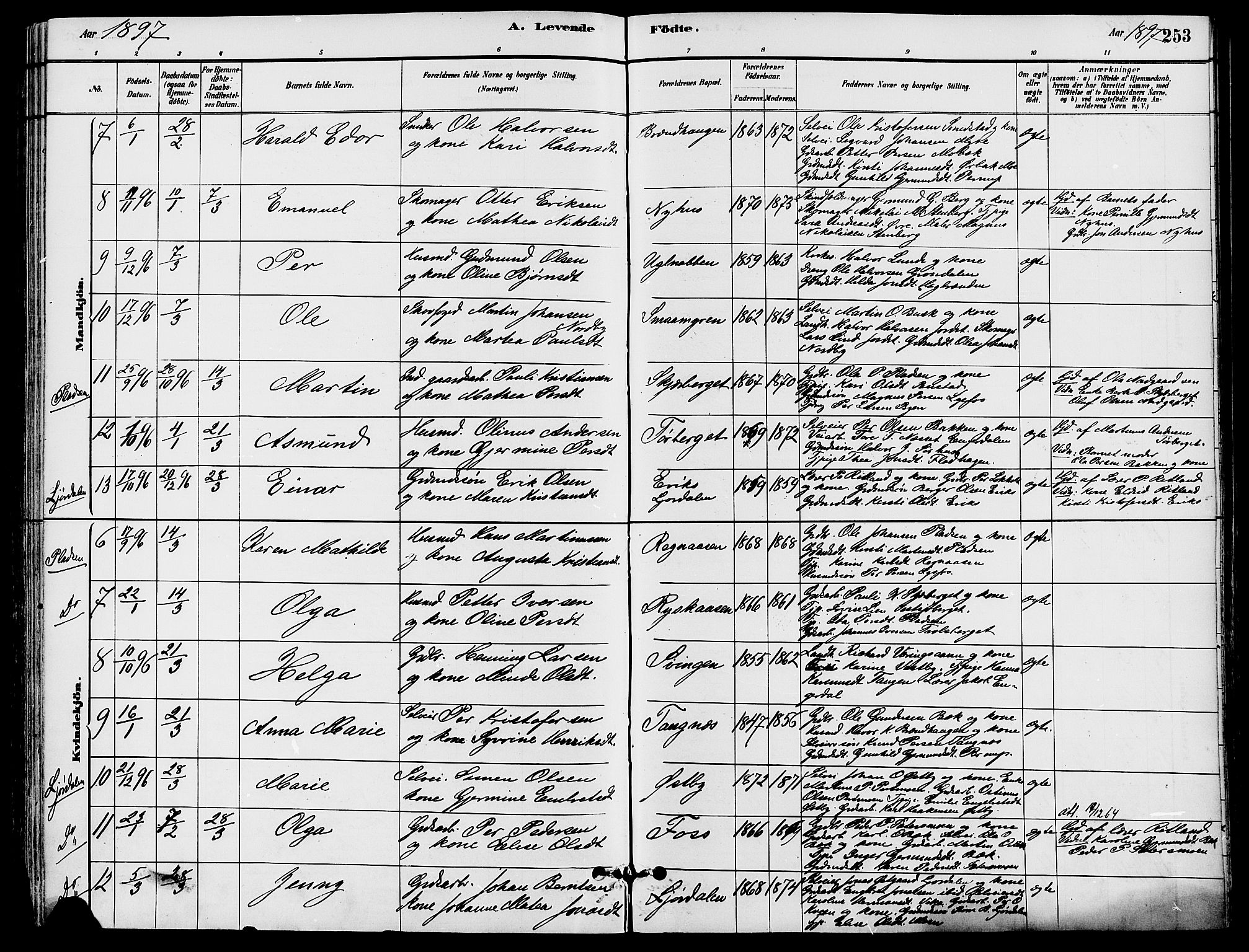 Trysil prestekontor, AV/SAH-PREST-046/H/Ha/Haa/L0008: Ministerialbok nr. 8, 1881-1897, s. 253