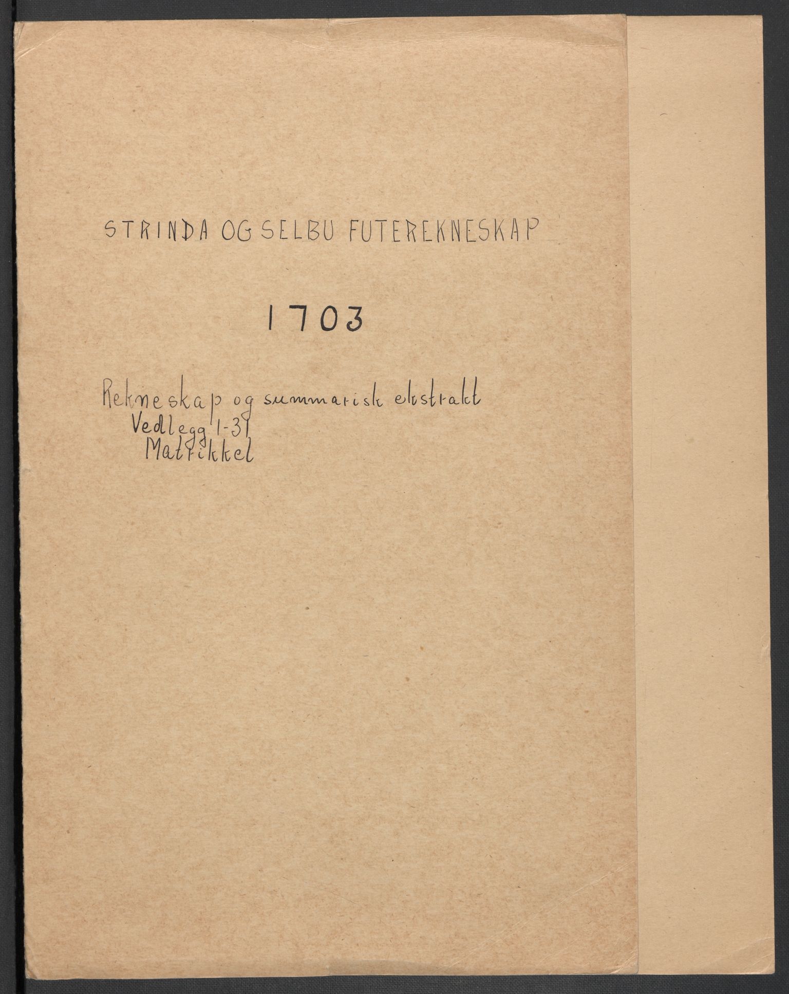 Rentekammeret inntil 1814, Reviderte regnskaper, Fogderegnskap, AV/RA-EA-4092/R61/L4108: Fogderegnskap Strinda og Selbu, 1701-1703, s. 277