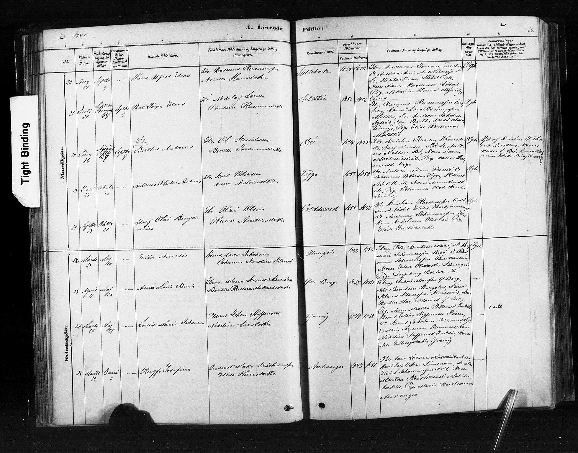 Ministerialprotokoller, klokkerbøker og fødselsregistre - Møre og Romsdal, AV/SAT-A-1454/507/L0073: Ministerialbok nr. 507A08, 1878-1904, s. 66
