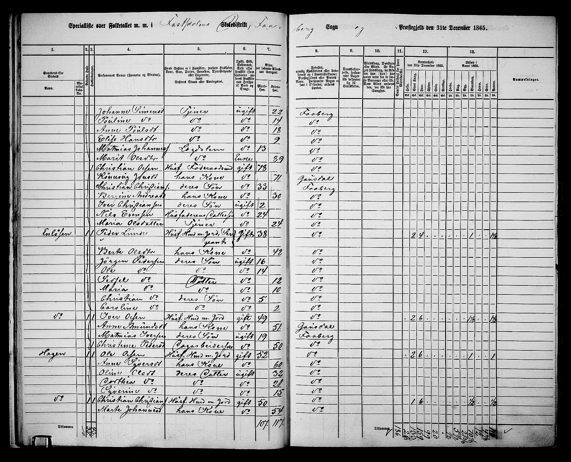 RA, Folketelling 1865 for 0524L Fåberg prestegjeld, Fåberg sokn og Lillehammer landsokn, 1865, s. 20