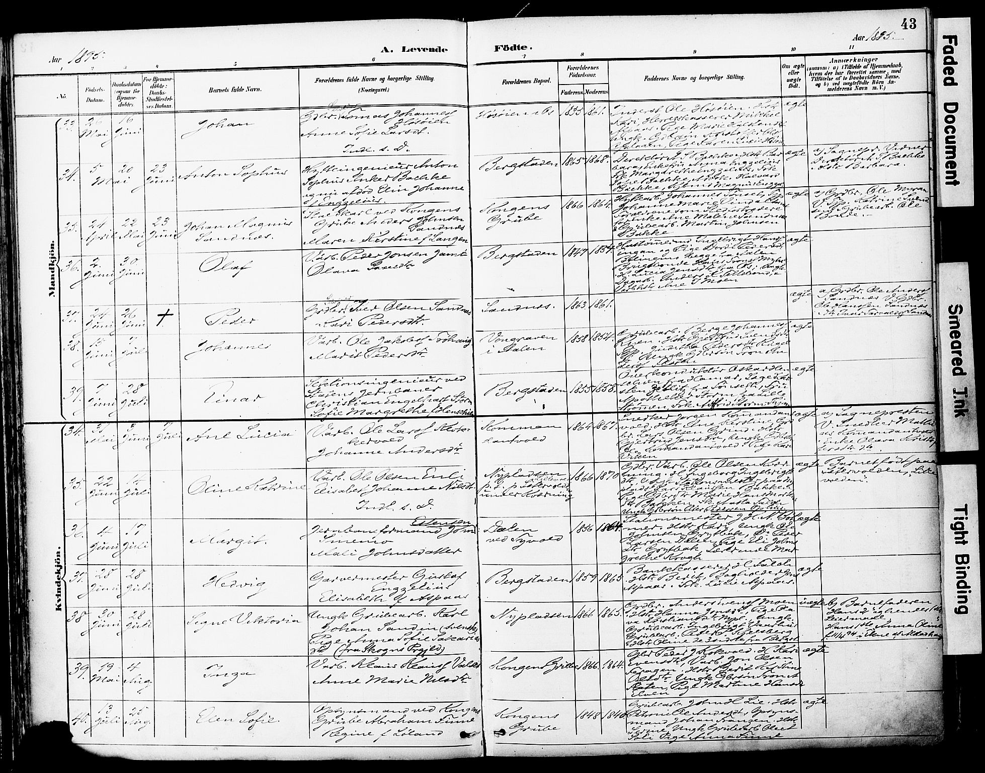 Ministerialprotokoller, klokkerbøker og fødselsregistre - Sør-Trøndelag, SAT/A-1456/681/L0935: Ministerialbok nr. 681A13, 1890-1898, s. 43