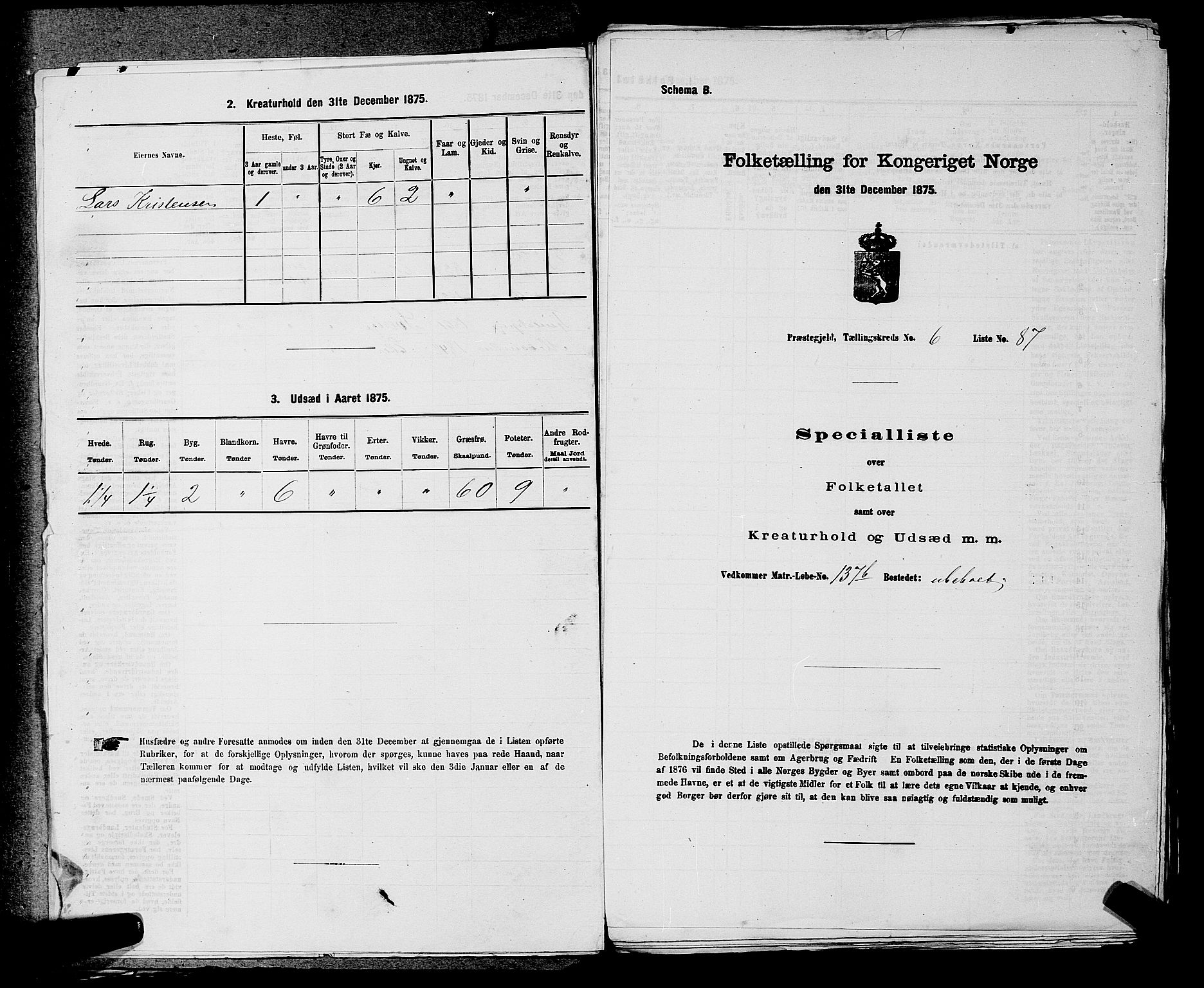 SAKO, Folketelling 1875 for 0624P Eiker prestegjeld, 1875, s. 1094