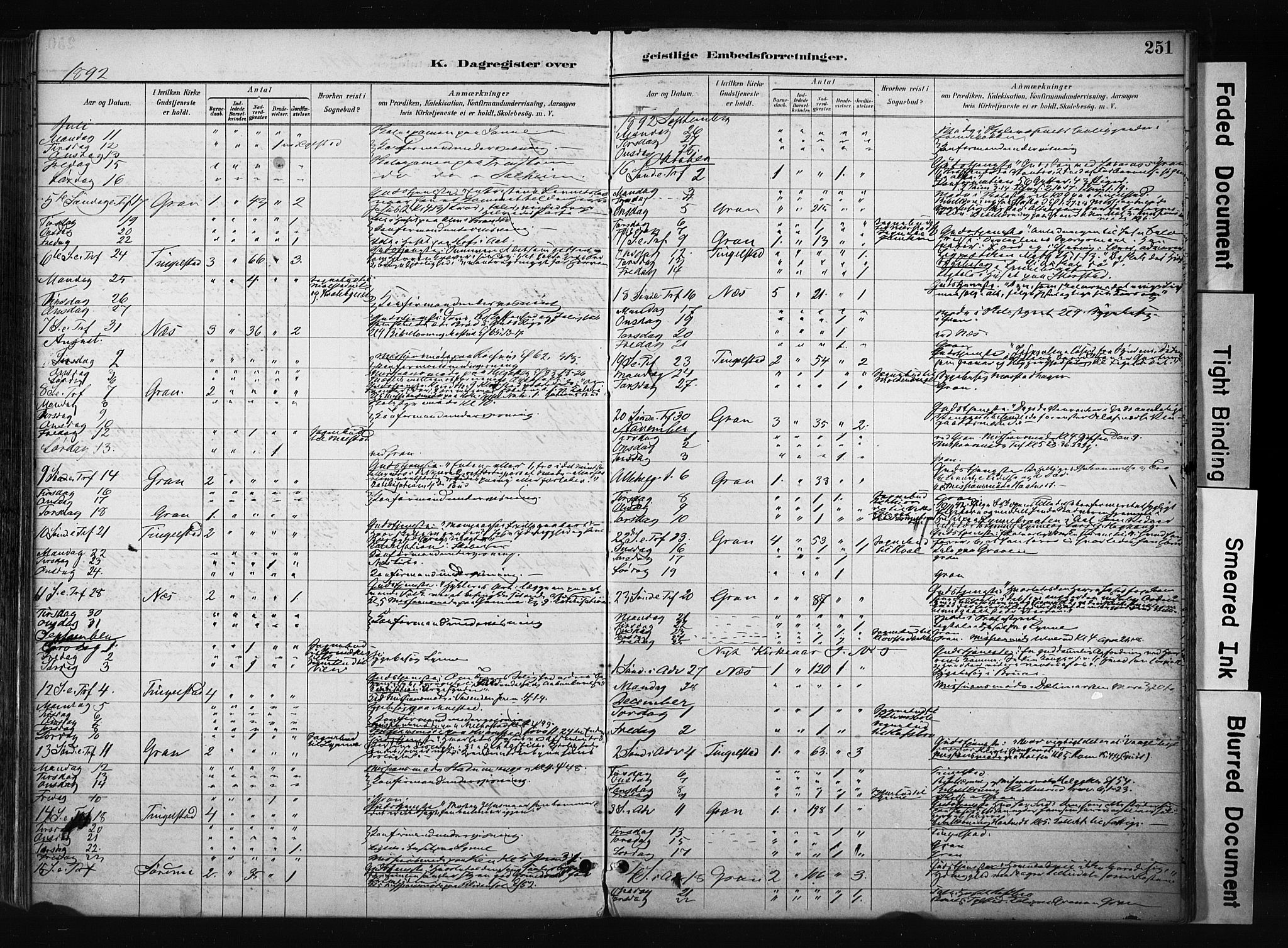 Gran prestekontor, SAH/PREST-112/H/Ha/Haa/L0017: Ministerialbok nr. 17, 1889-1897, s. 251