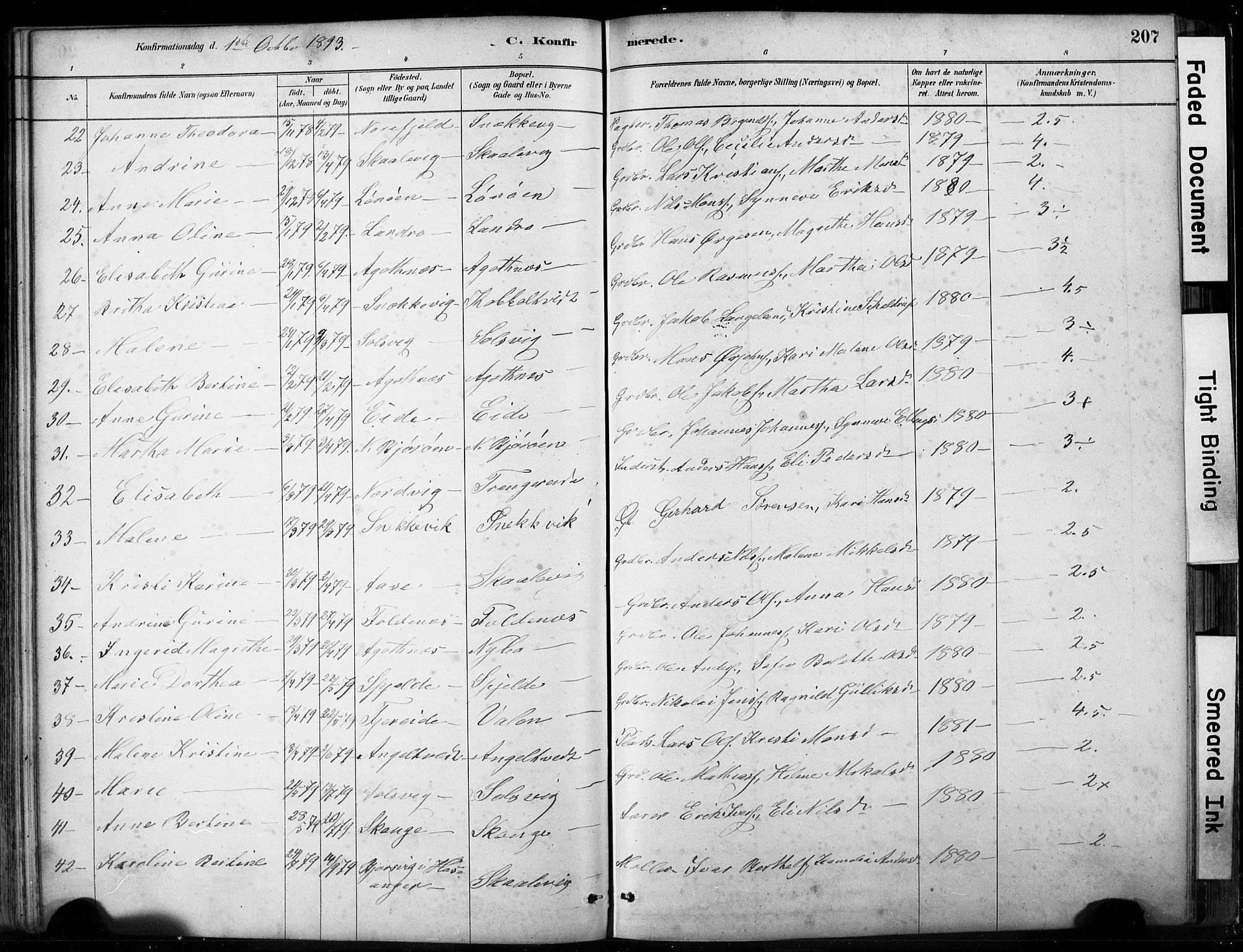 Fjell sokneprestembete, AV/SAB-A-75301/H/Hab: Klokkerbok nr. A 4, 1880-1899, s. 207