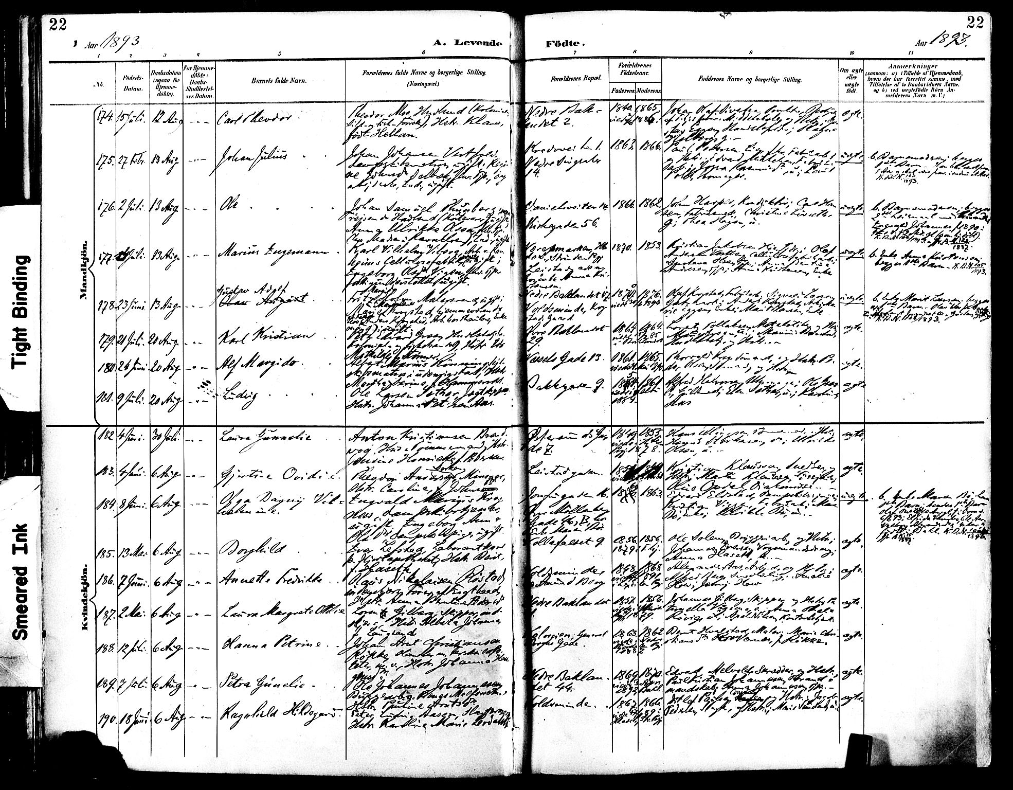 Ministerialprotokoller, klokkerbøker og fødselsregistre - Sør-Trøndelag, SAT/A-1456/604/L0197: Ministerialbok nr. 604A18, 1893-1900, s. 22