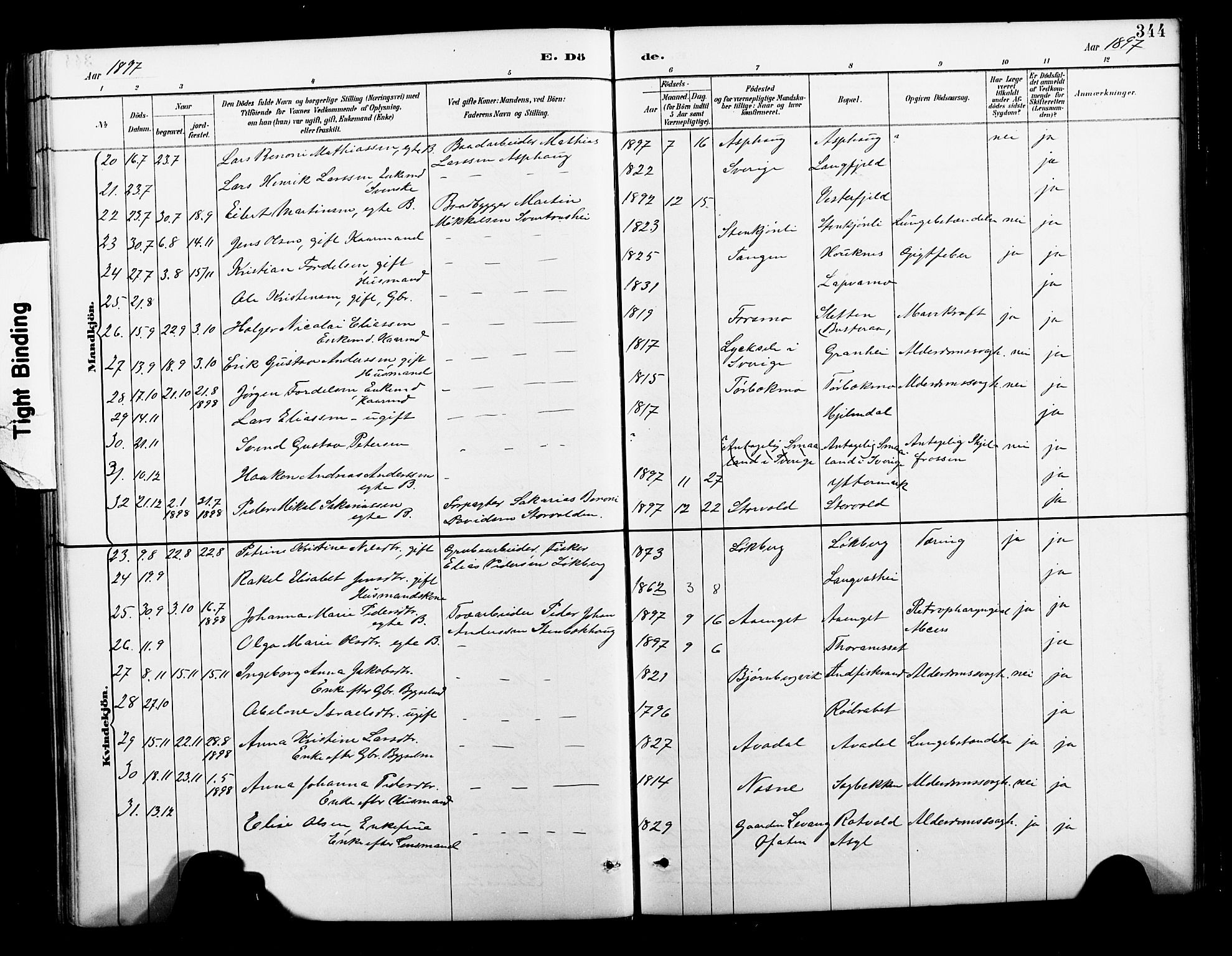 Ministerialprotokoller, klokkerbøker og fødselsregistre - Nordland, AV/SAT-A-1459/827/L0421: Klokkerbok nr. 827C10, 1887-1906, s. 344