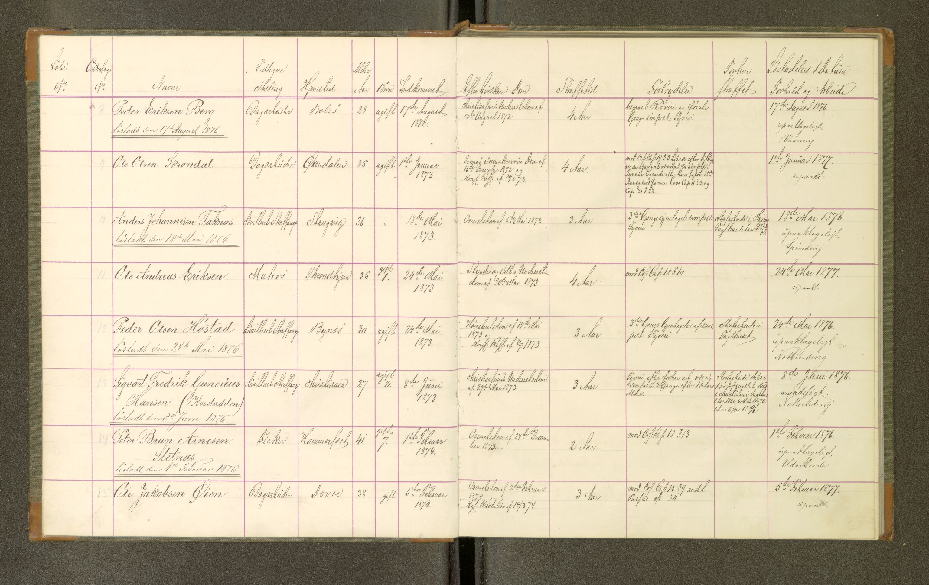 Trondheim tukthus, SAT/A-4619/05/65/L0032: 65.32 Fangeprotokoll, 1876