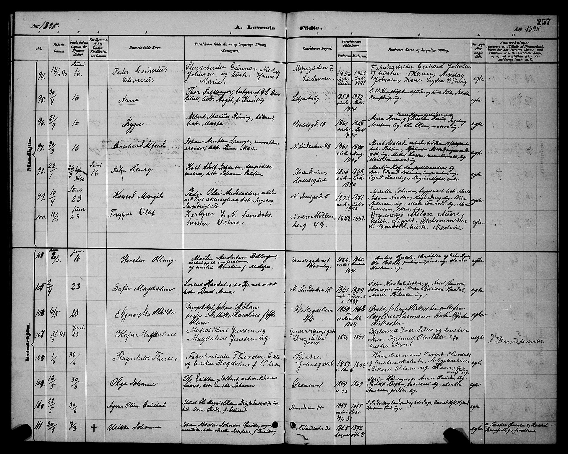 Ministerialprotokoller, klokkerbøker og fødselsregistre - Sør-Trøndelag, SAT/A-1456/604/L0222: Klokkerbok nr. 604C05, 1886-1895, s. 257